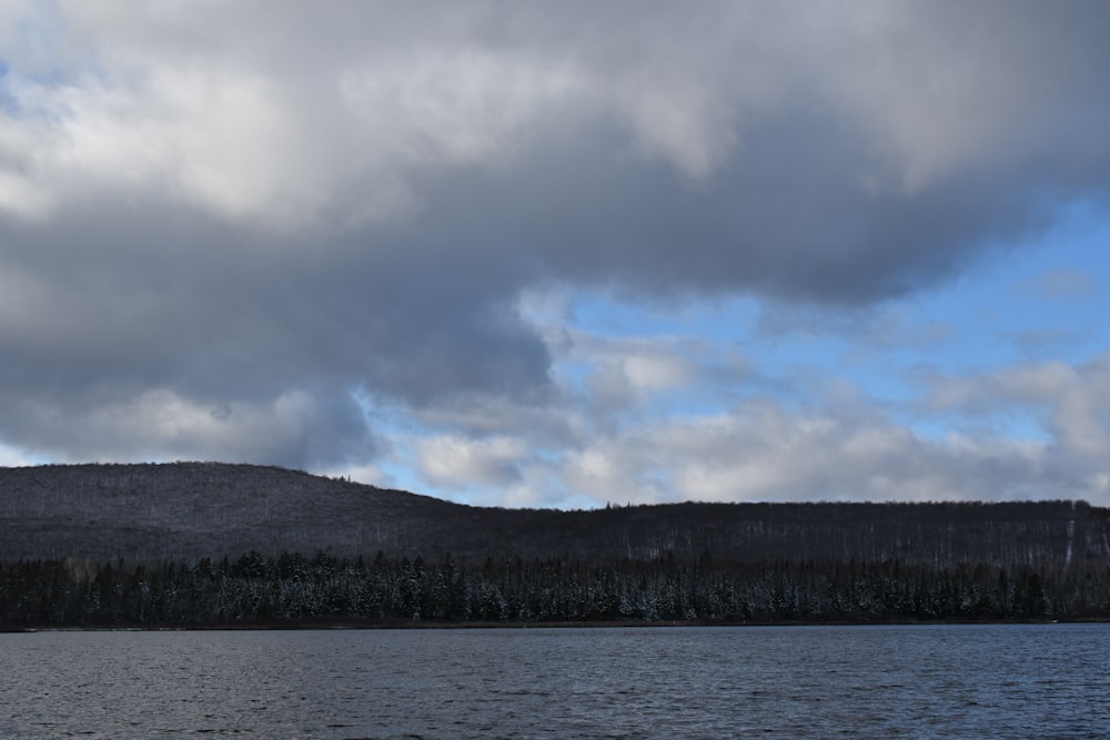 a large body of water surrounded by a forest