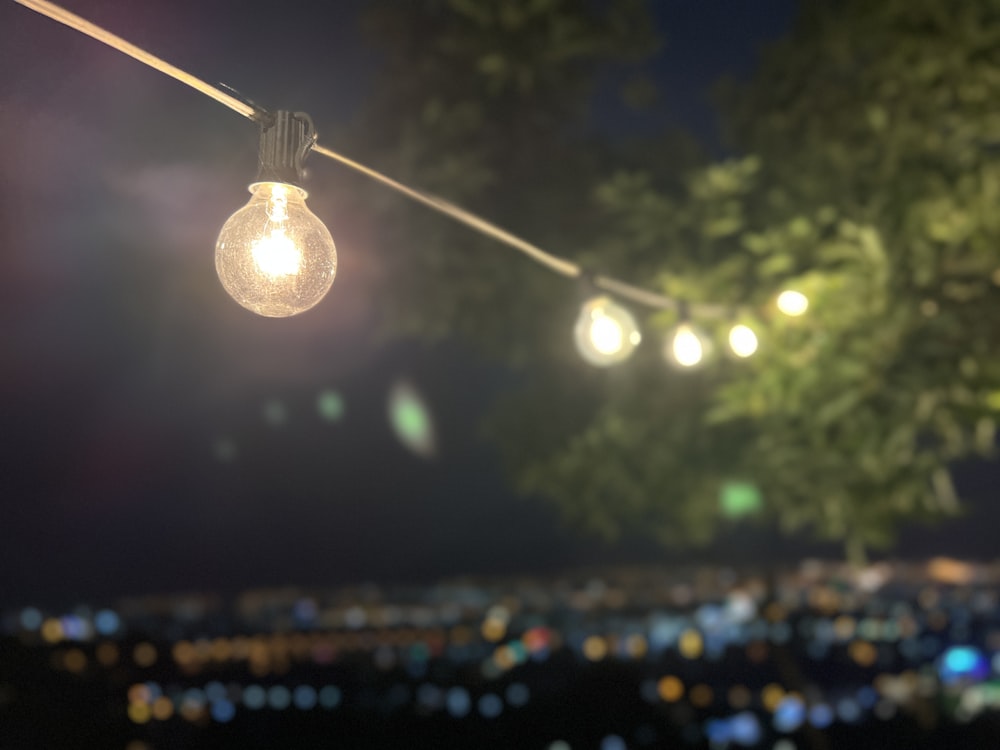 a string of lights hanging from a tree