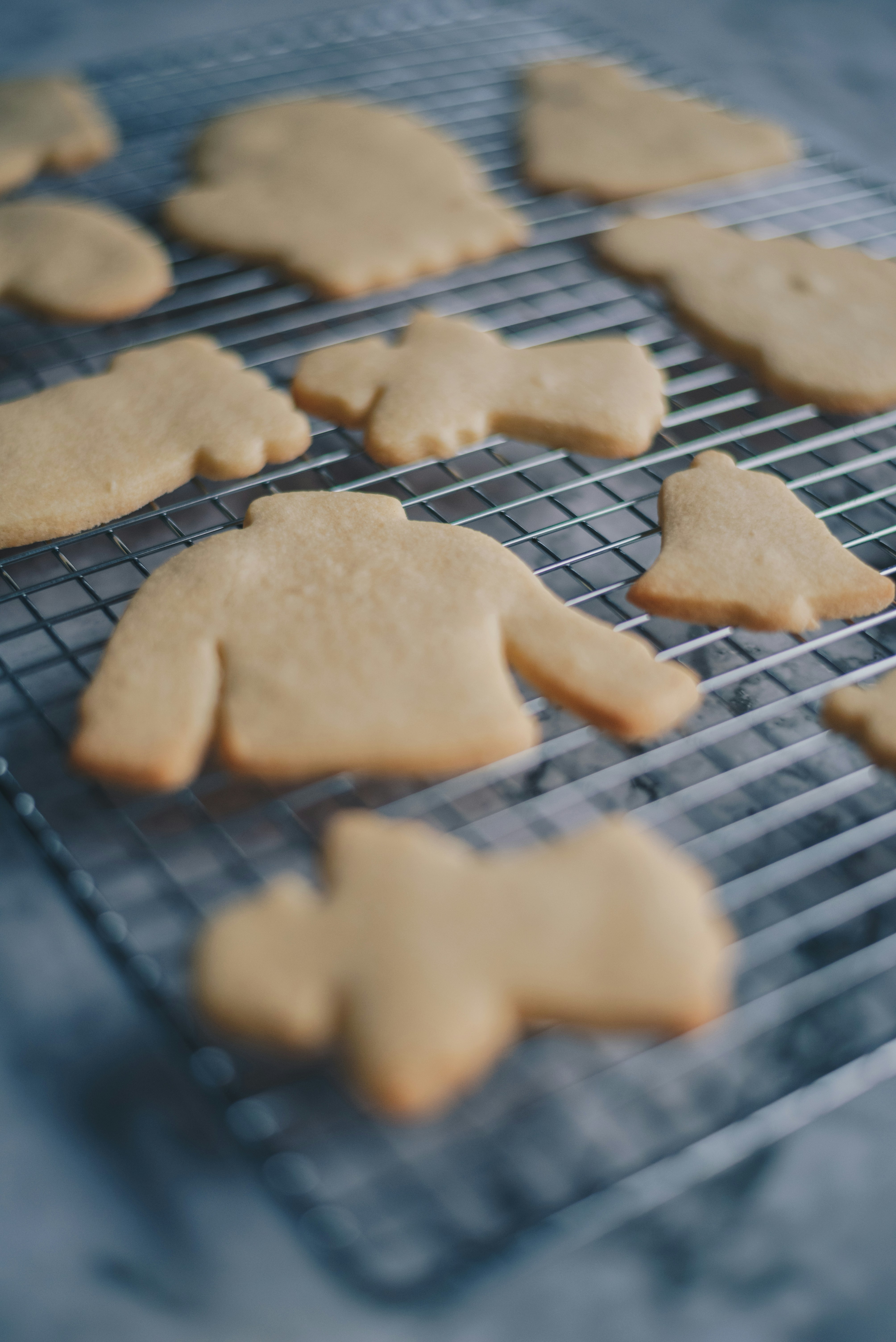 Photo by libby_penner