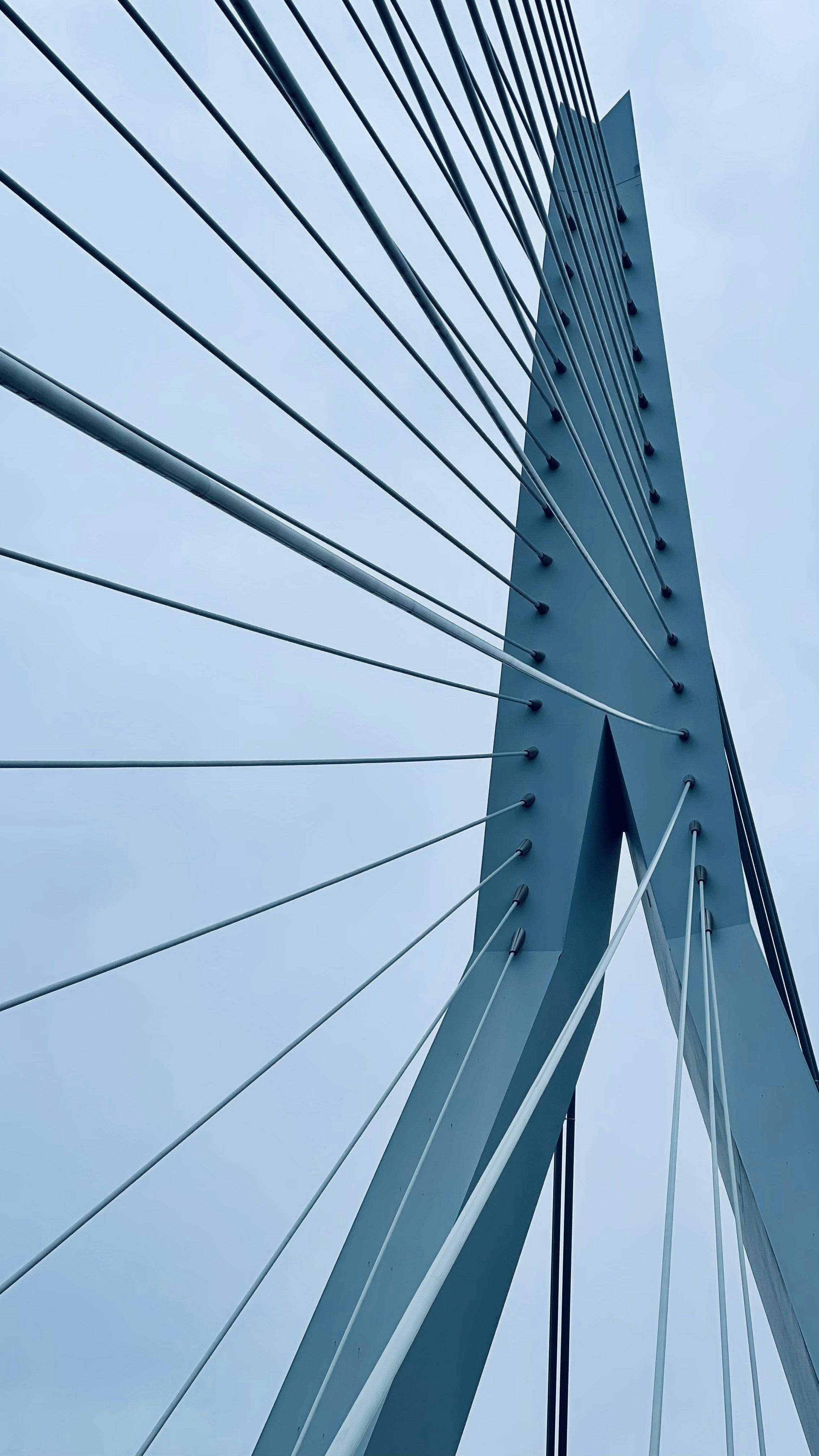 Photo by maartenscheer