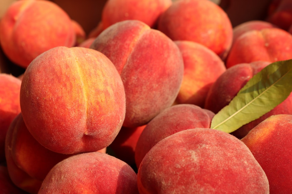 a pile of peaches with a leaf on top