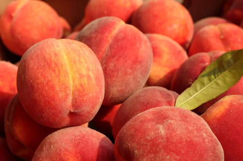 Frutos de caroço