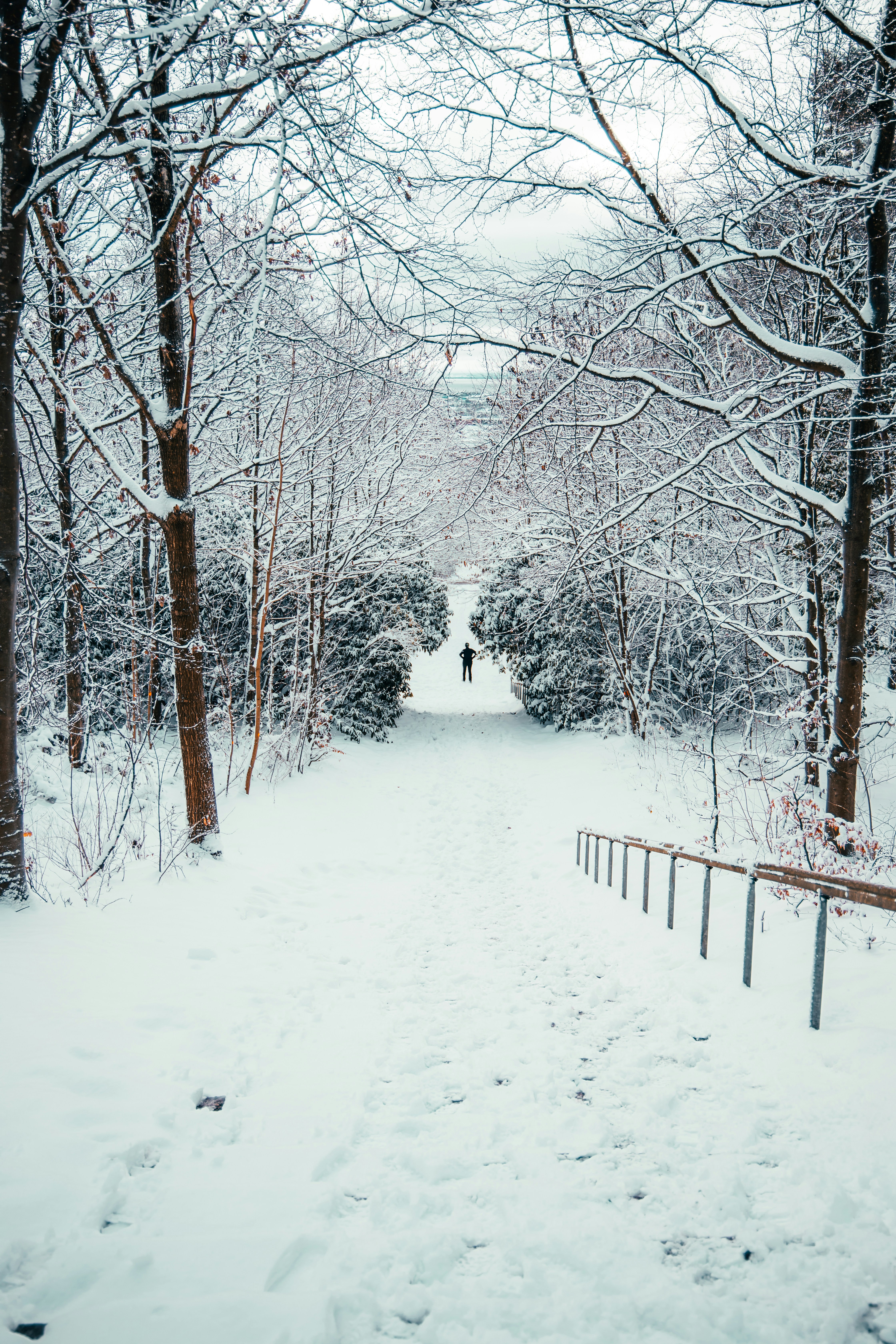 Photo by nik_nikolla_