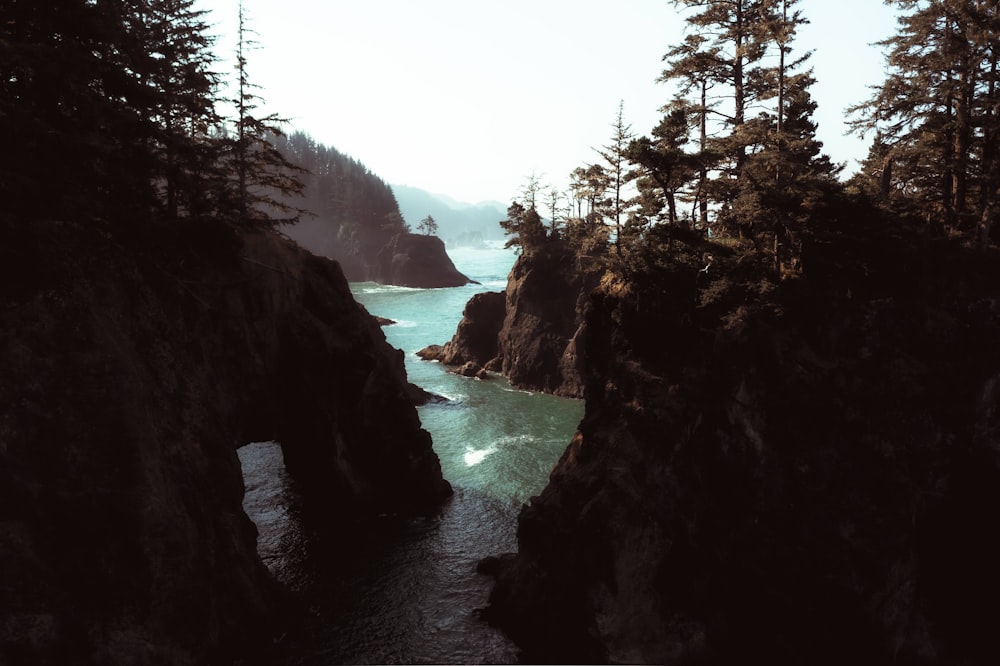 a body of water surrounded by trees and rocks