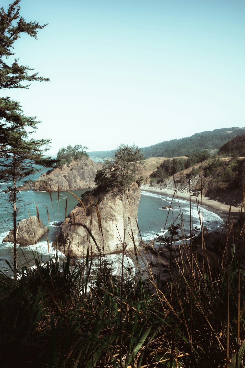 a view of the ocean from the top of a hill