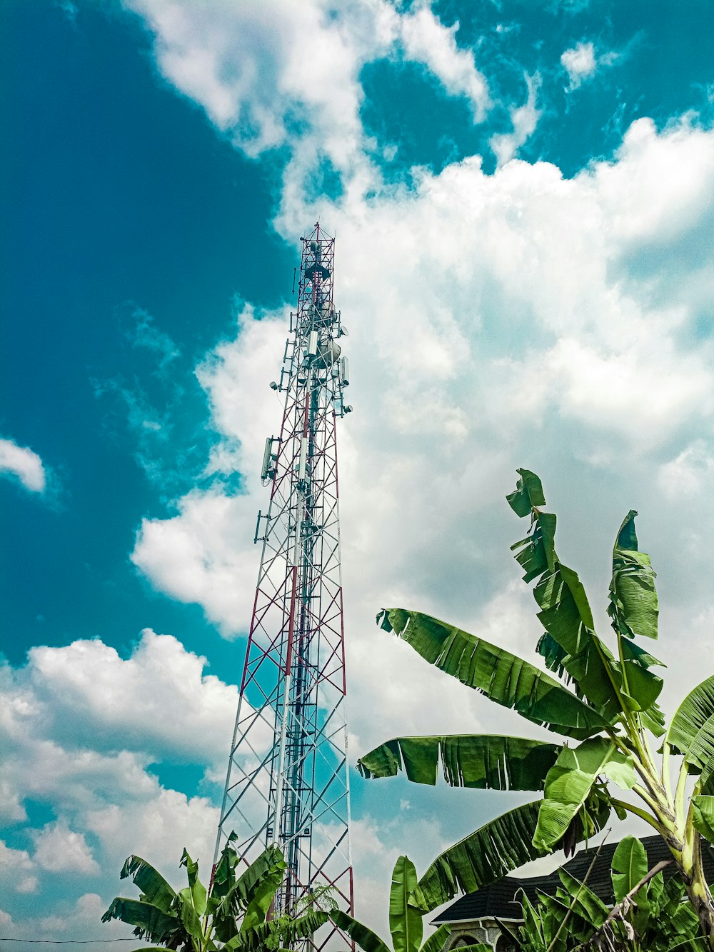 uma torre alta sentada ao lado de uma floresta verde exuberante