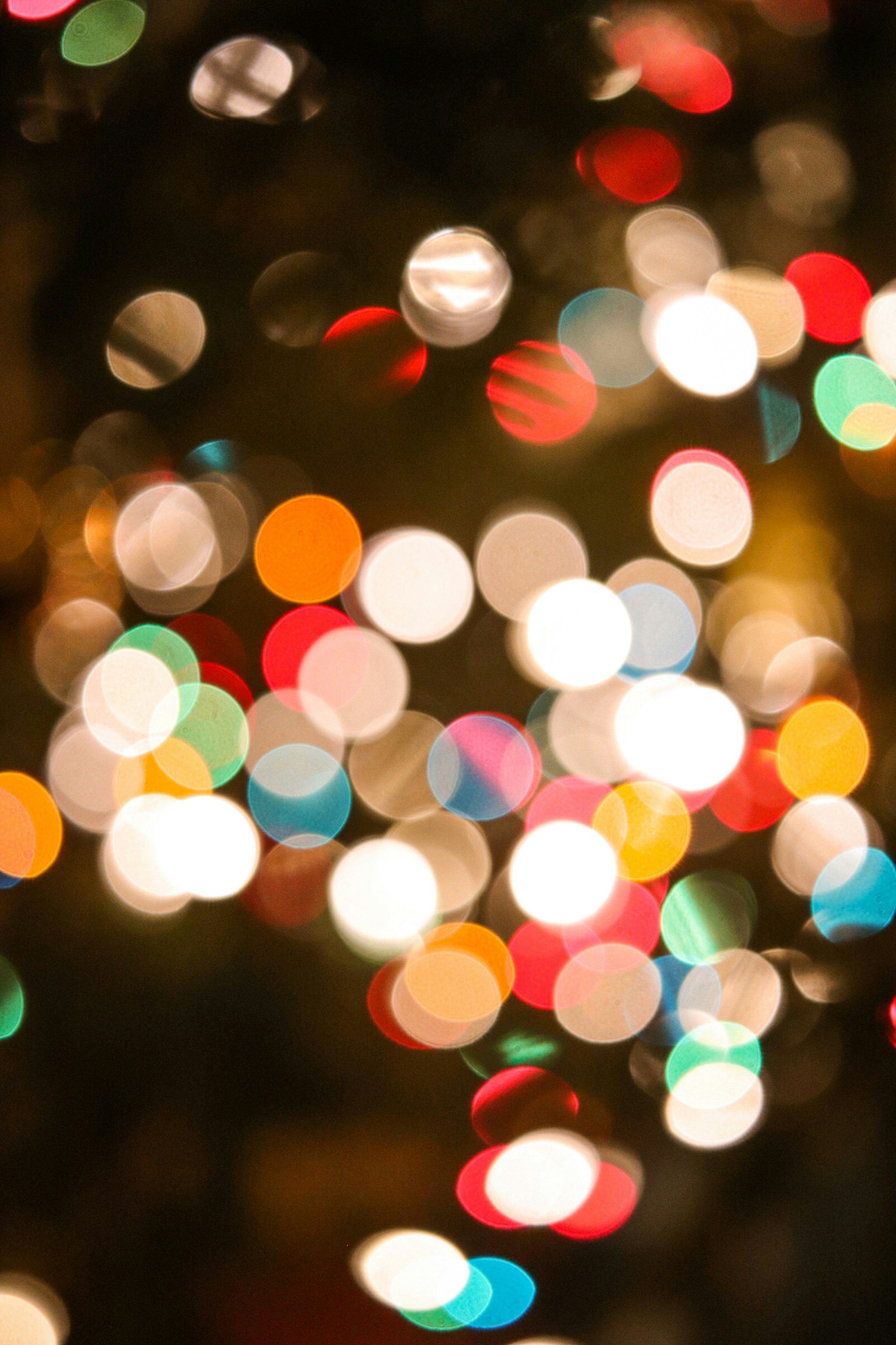 Photo by hlaurphotography