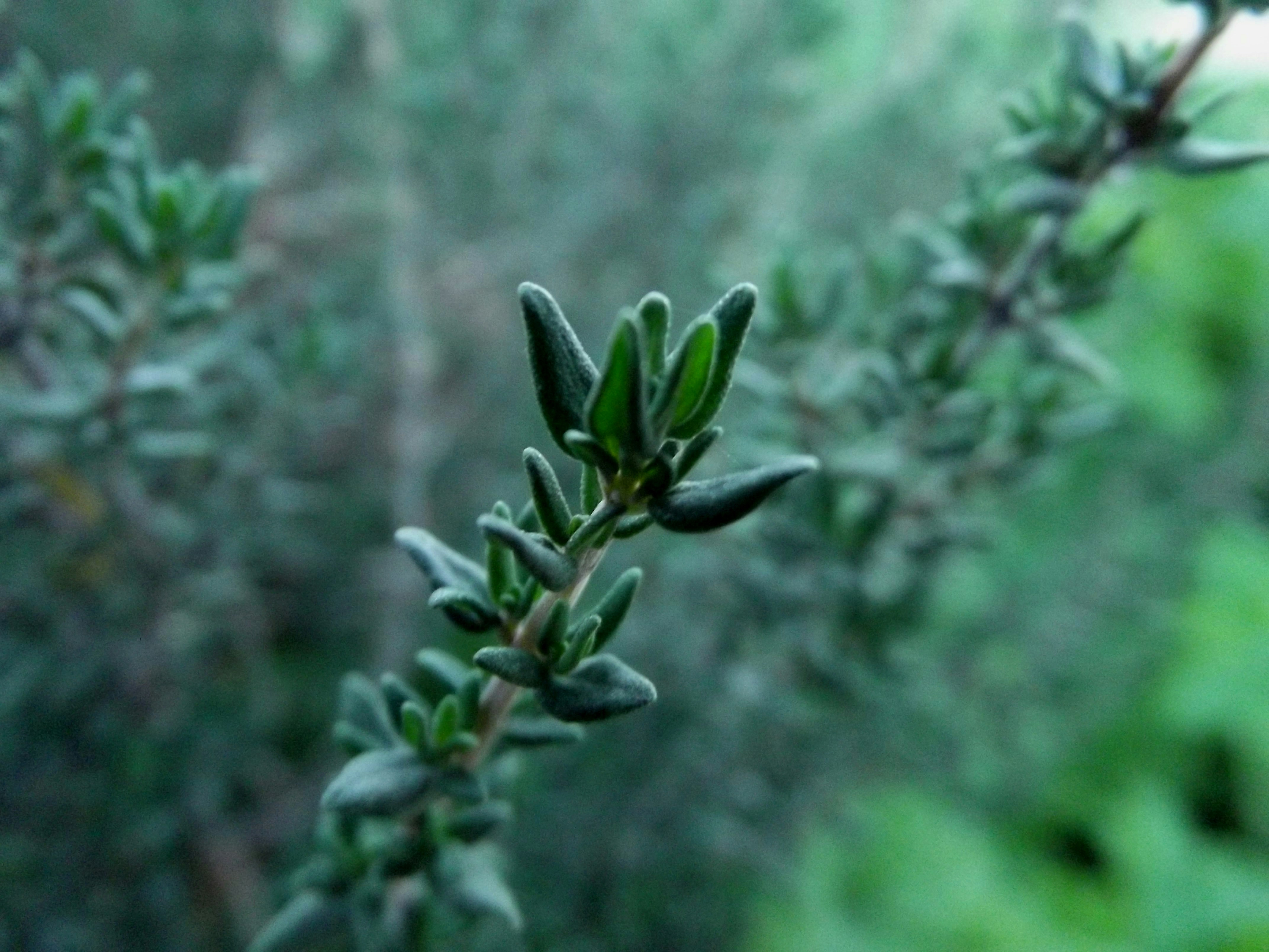 Photo by crete_offthebeatentrack