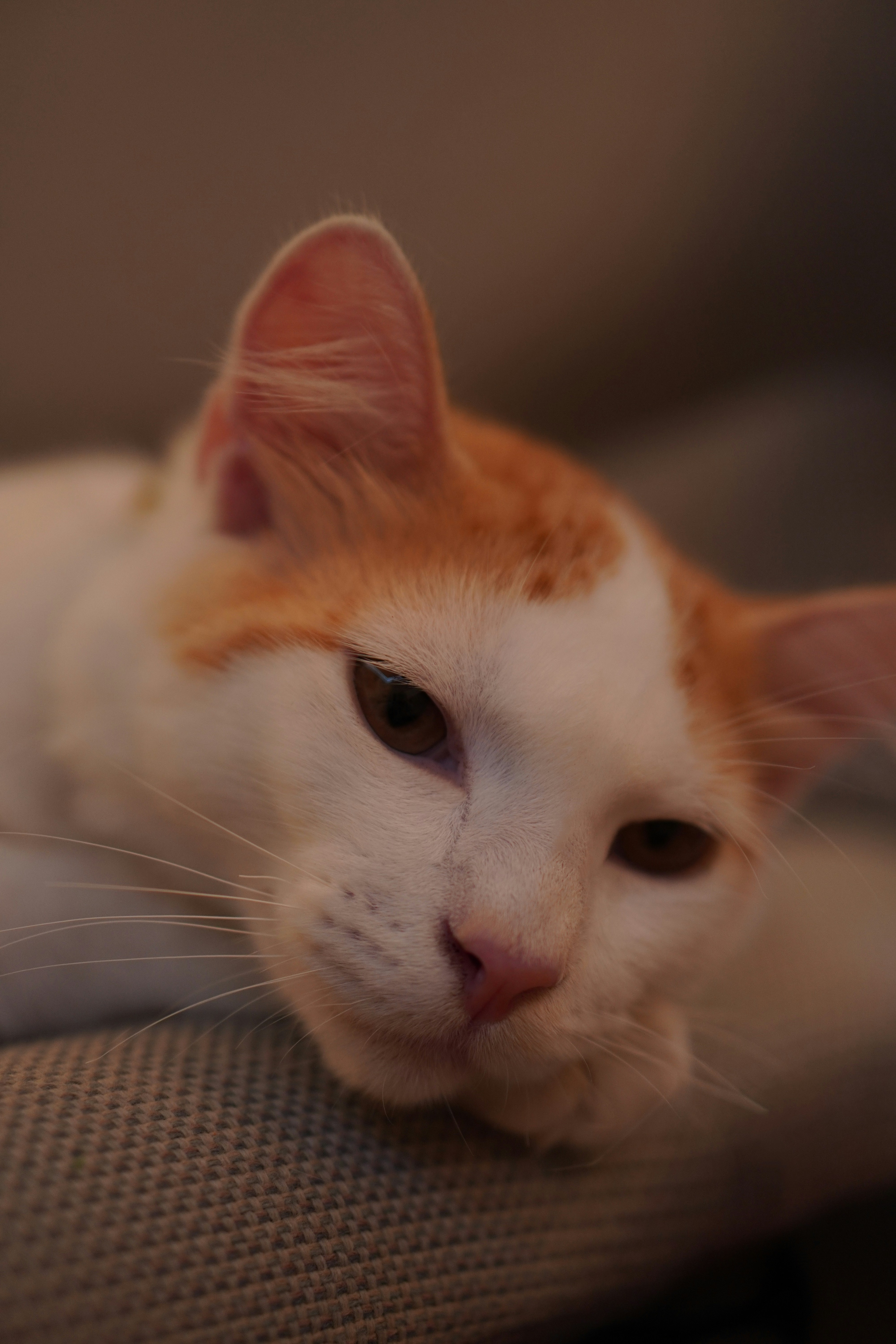 Photo by thinhdopham