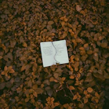 Close-up of handwritten notes on recycled paper with pressed leaves.