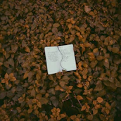 An open notebook with handwritten notes and a pen resting on botanical illustrations.