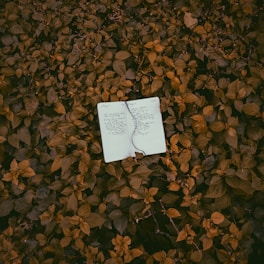 A close-up of a La Sustain notebook resting on a wooden desk surrounded by recycled paper scraps and green leaves.
