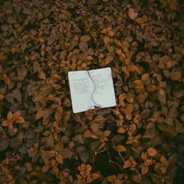 An open notebook with handwritten notes and a pen resting on botanical illustrations.