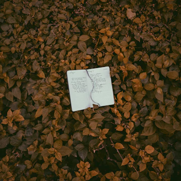 Close-up of handwritten notes on recycled paper with pressed leaves.