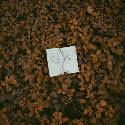 Close-up of hands holding a notebook with handwritten notes on natural libido boosters, set against a backdrop of rich earthy tones.