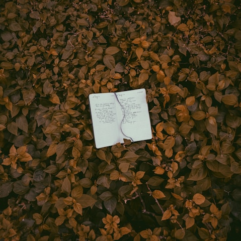 A close-up of a La Sustain notebook resting on a wooden desk surrounded by recycled paper scraps and green leaves.