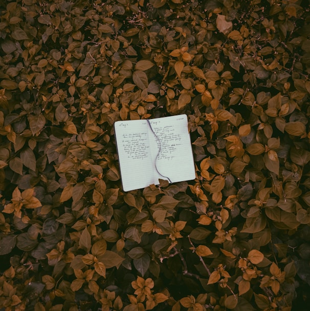 Close-up of a student’s hands writing notes with a forest green notebook on a clean desk.