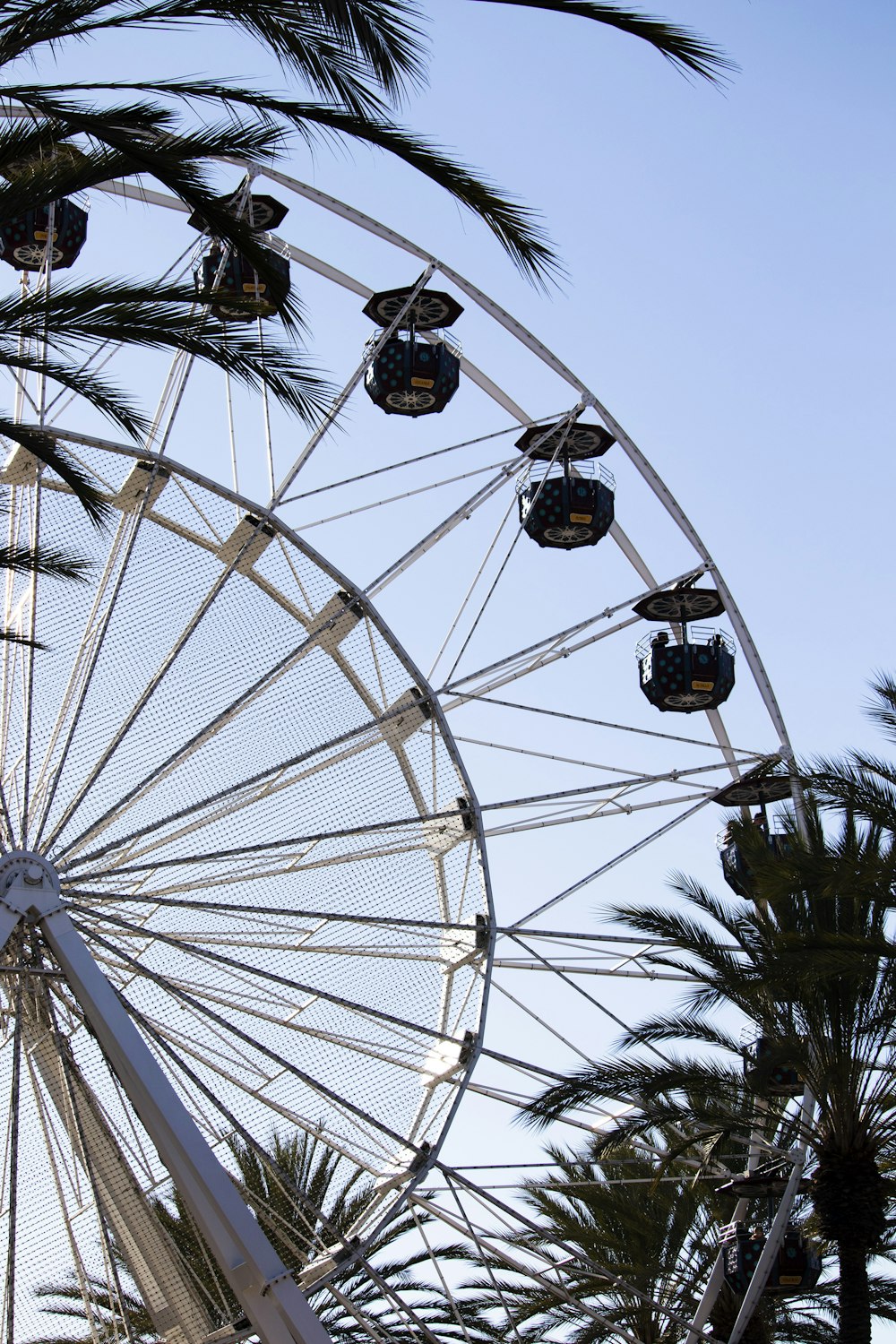 a ferris wheel with palm trees in the background