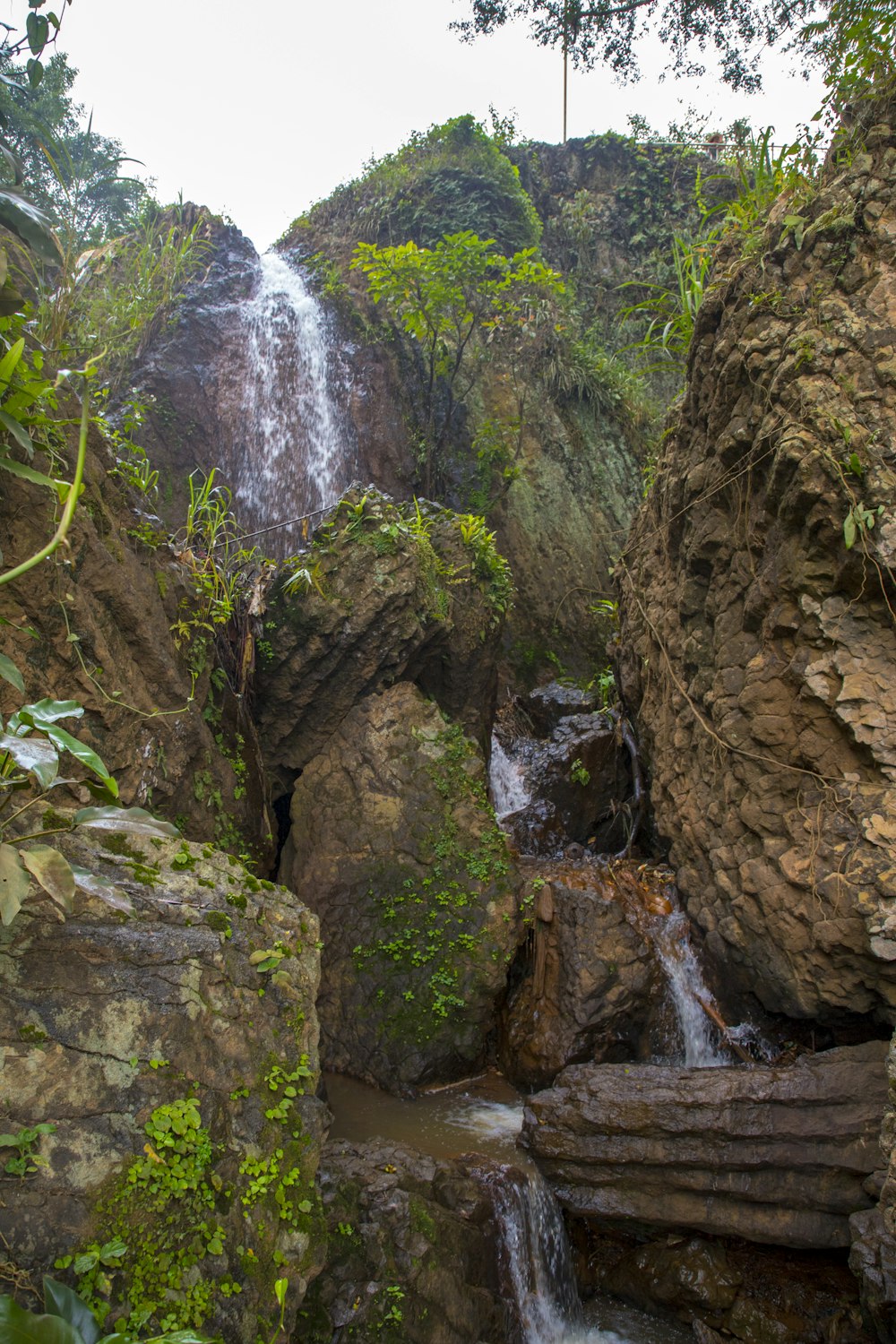 a small waterfall in the middle of a jungle