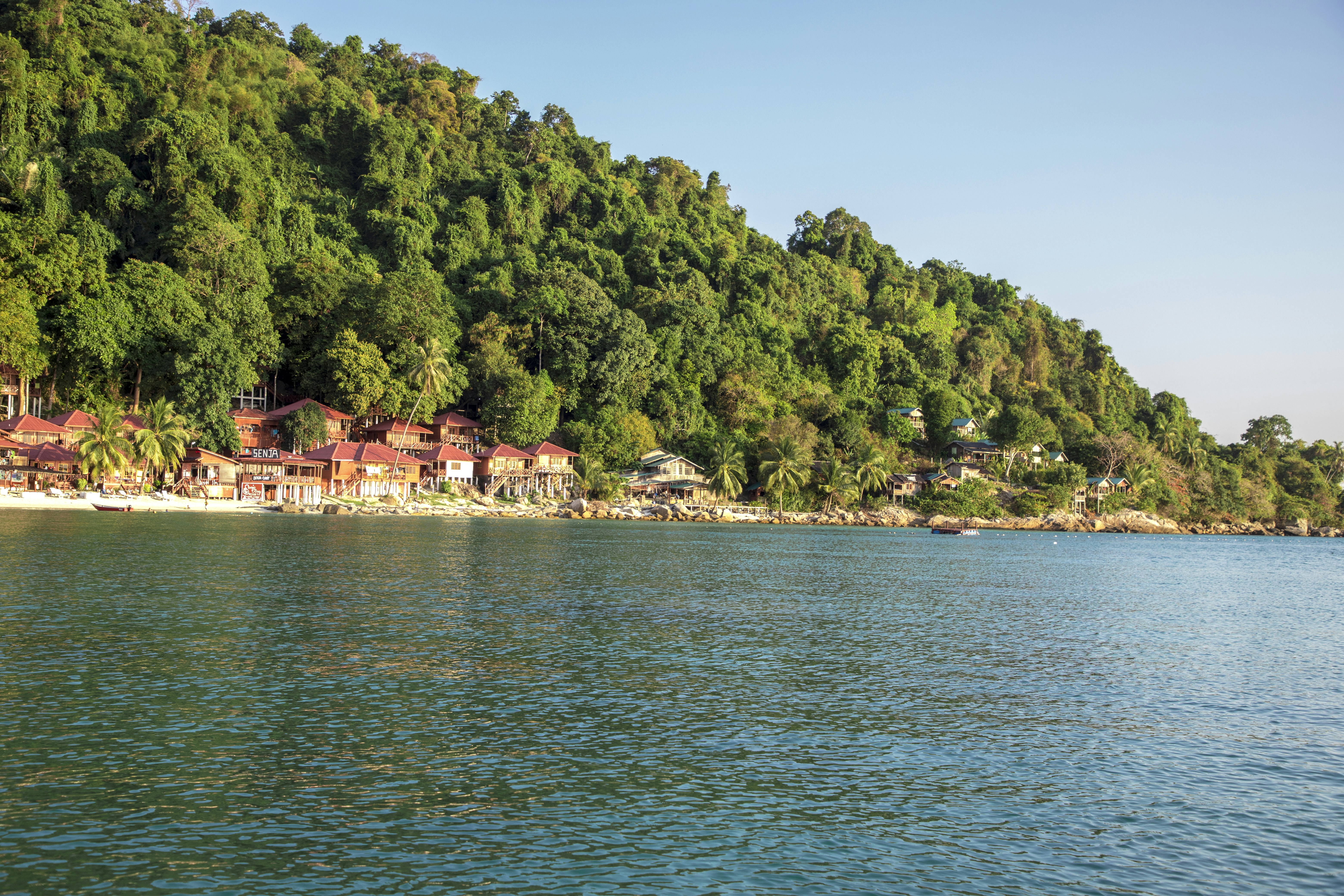 Photo by bahr_splash