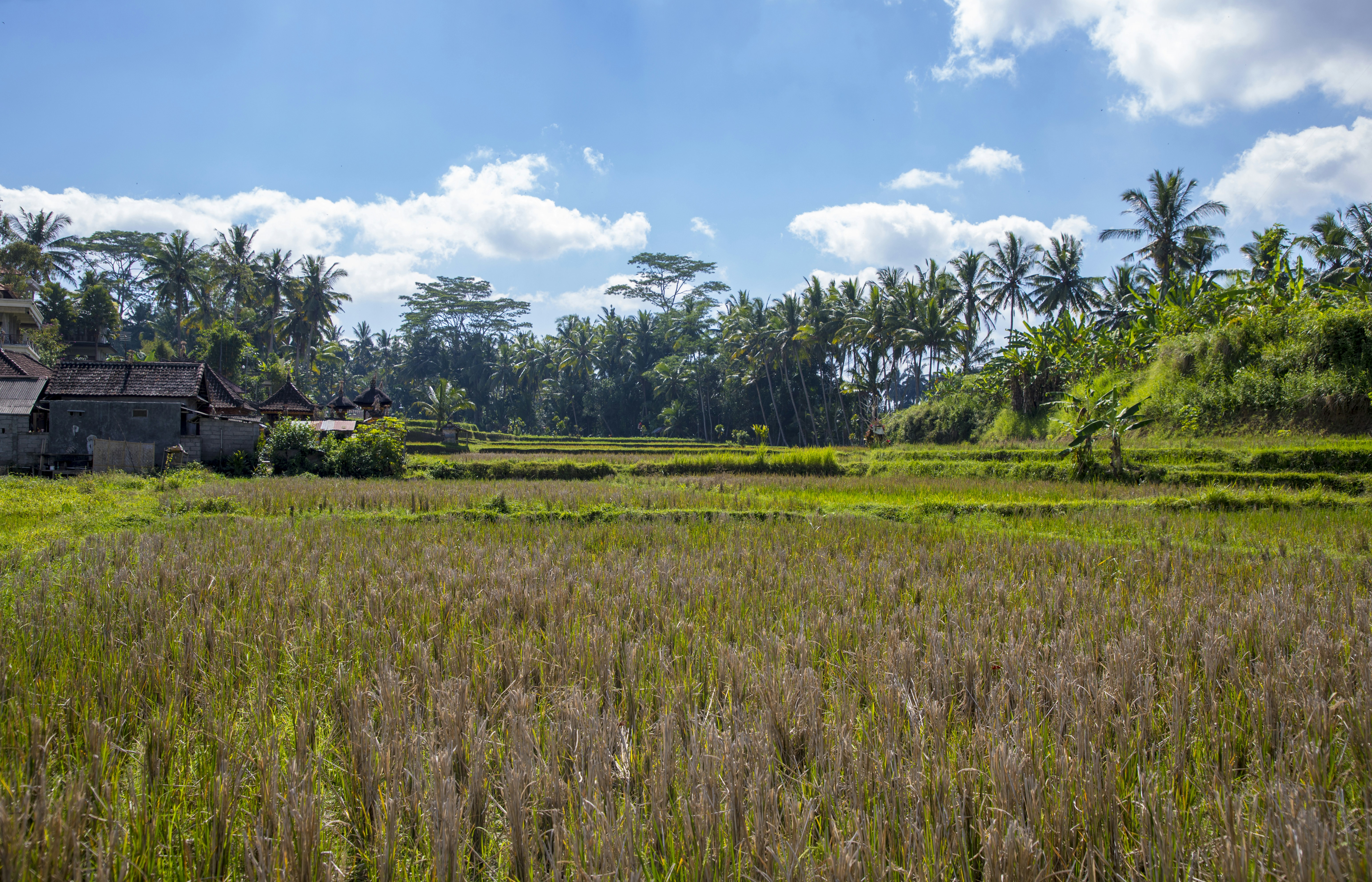 Photo by bahr_splash