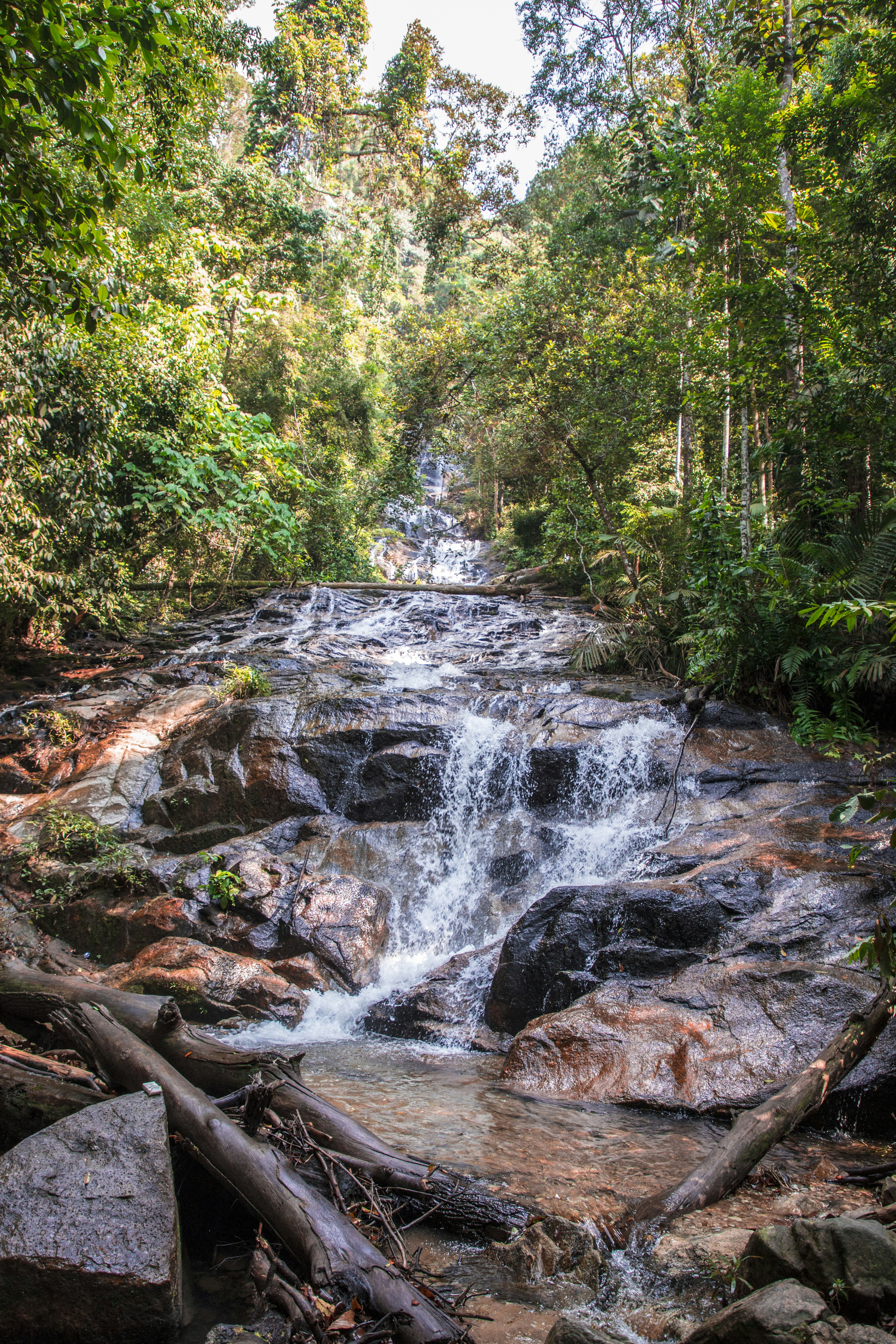 Photo by bahr_splash