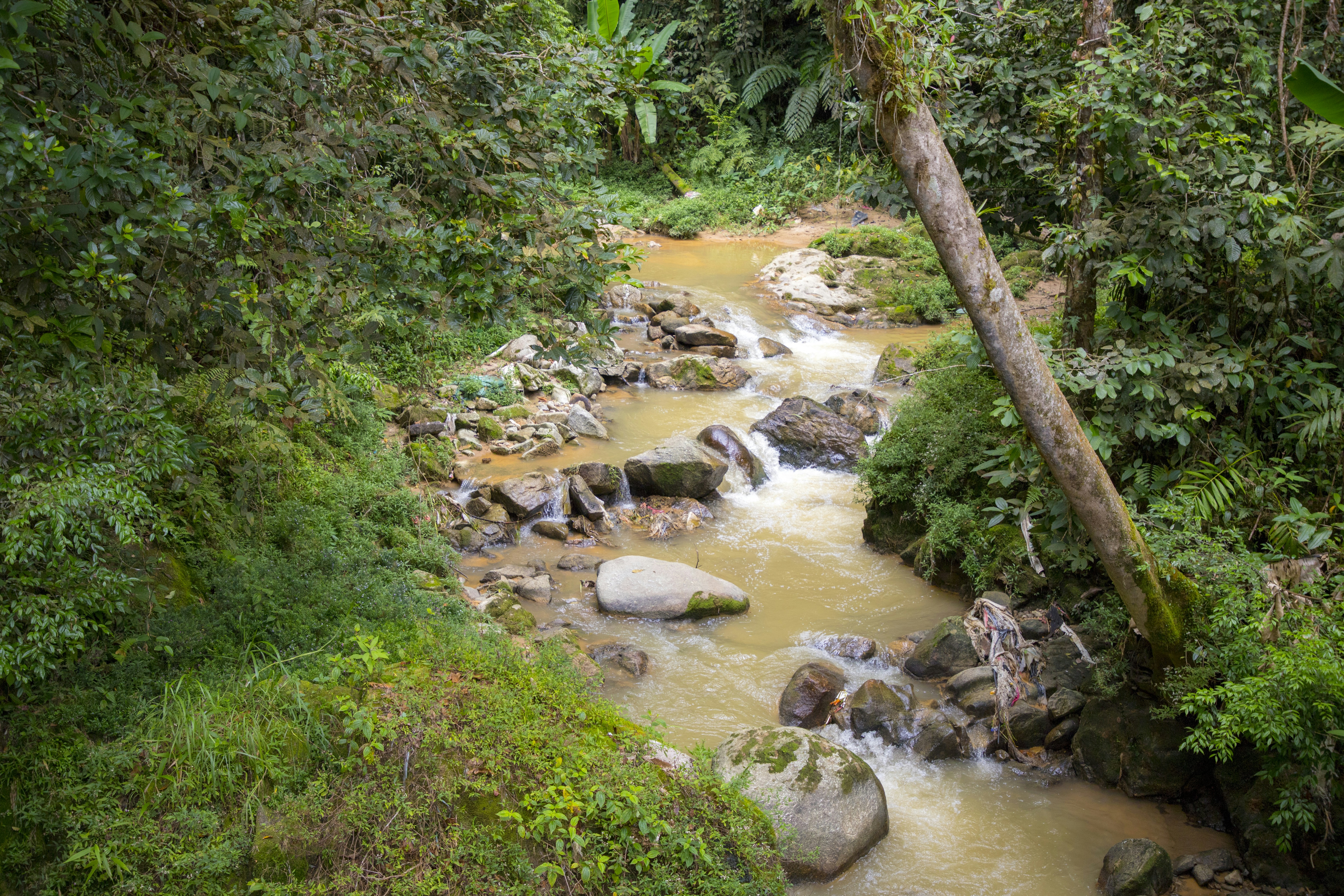 Photo by bahr_splash