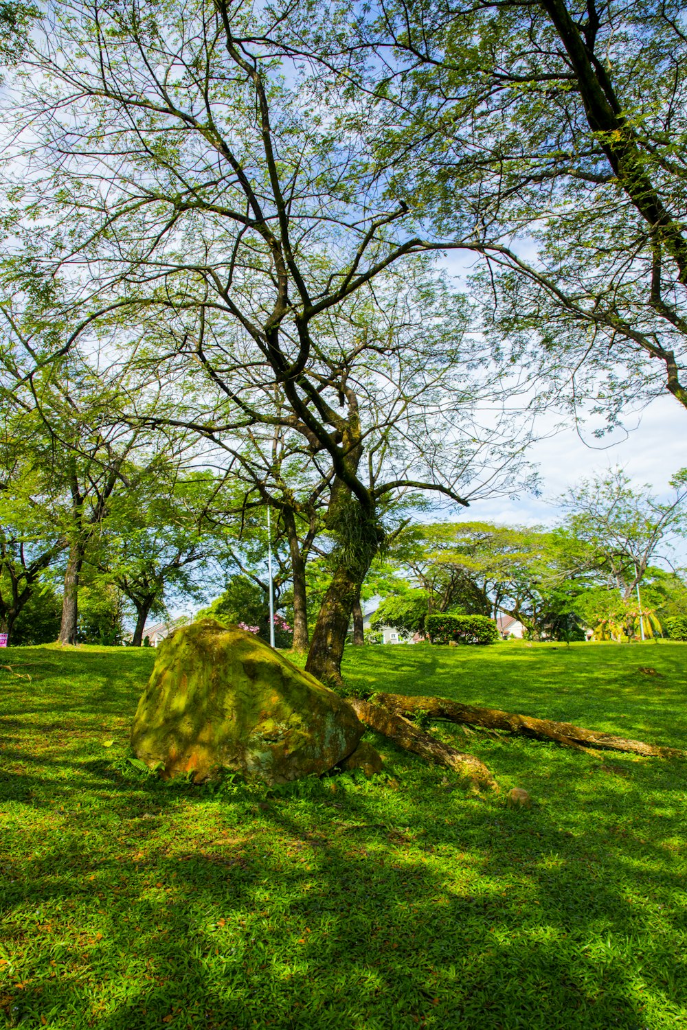 a large rock sitting in the middle of a lush green park