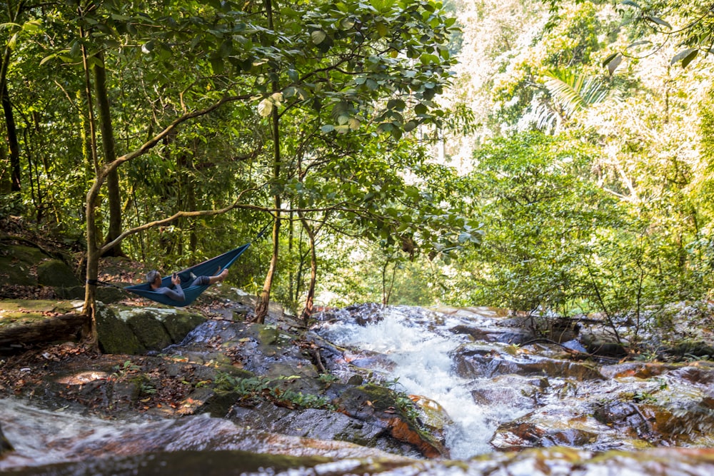 a hammock hanging over a stream in the woods