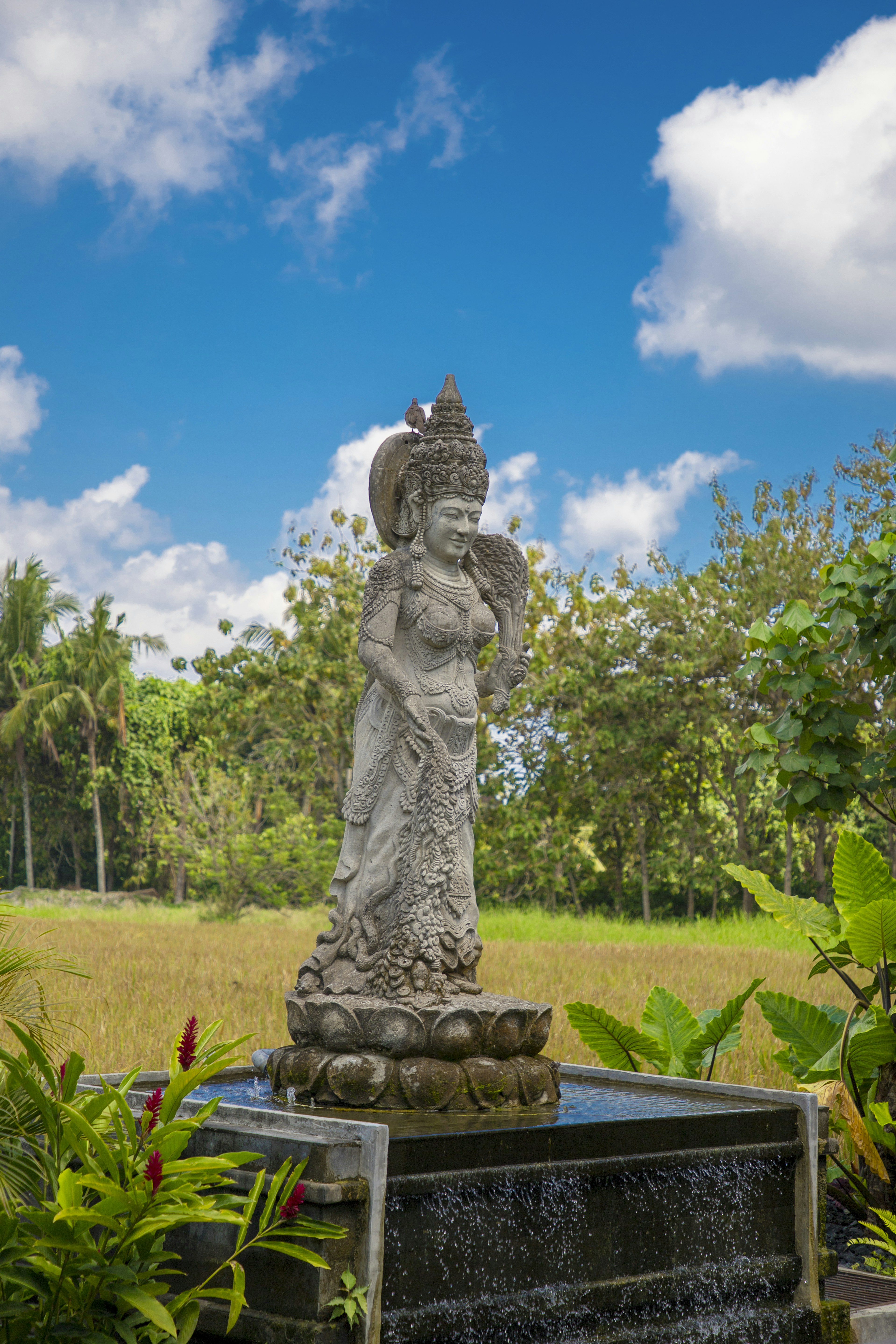 Photo by bahr_splash