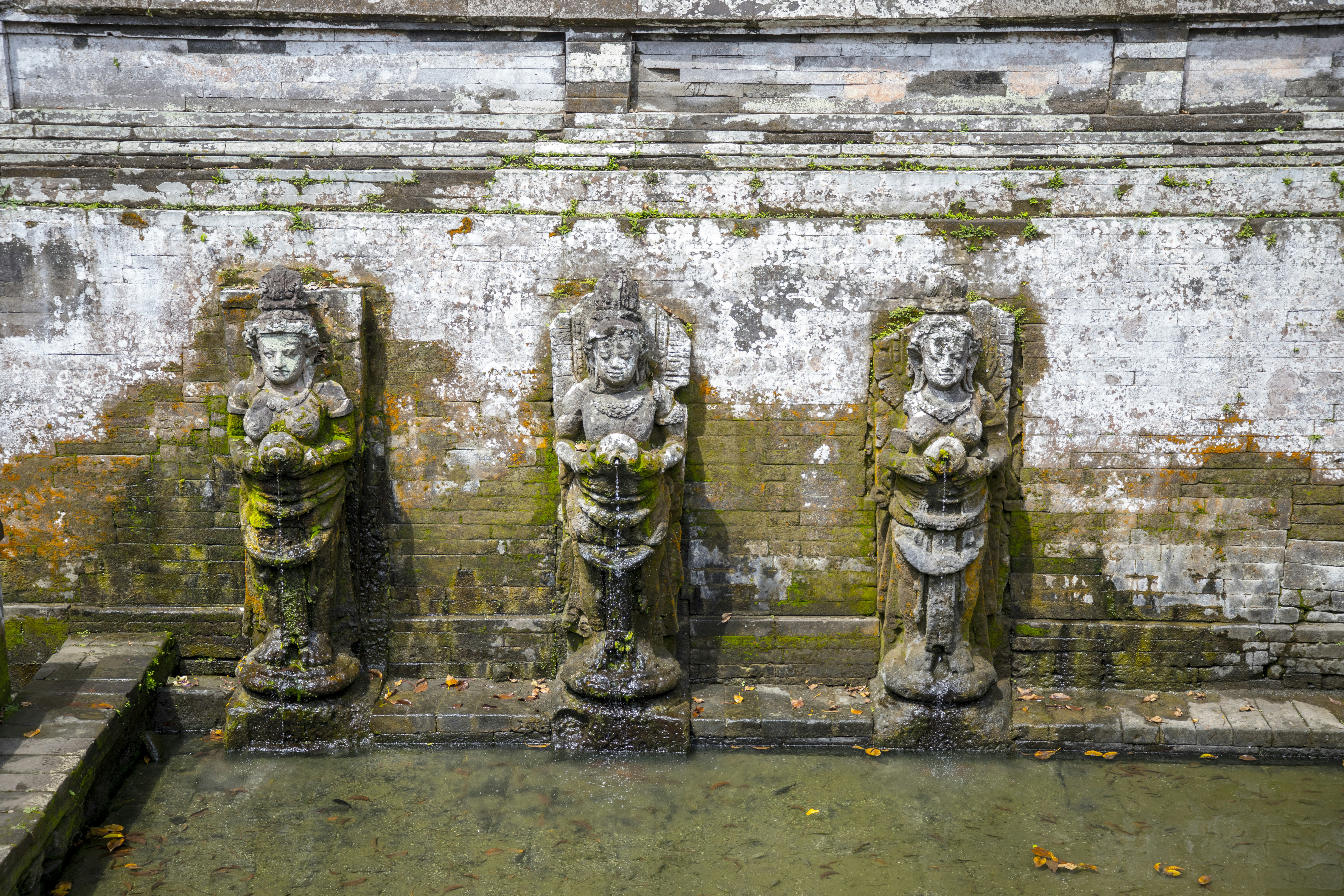 Photo by bahr_splash