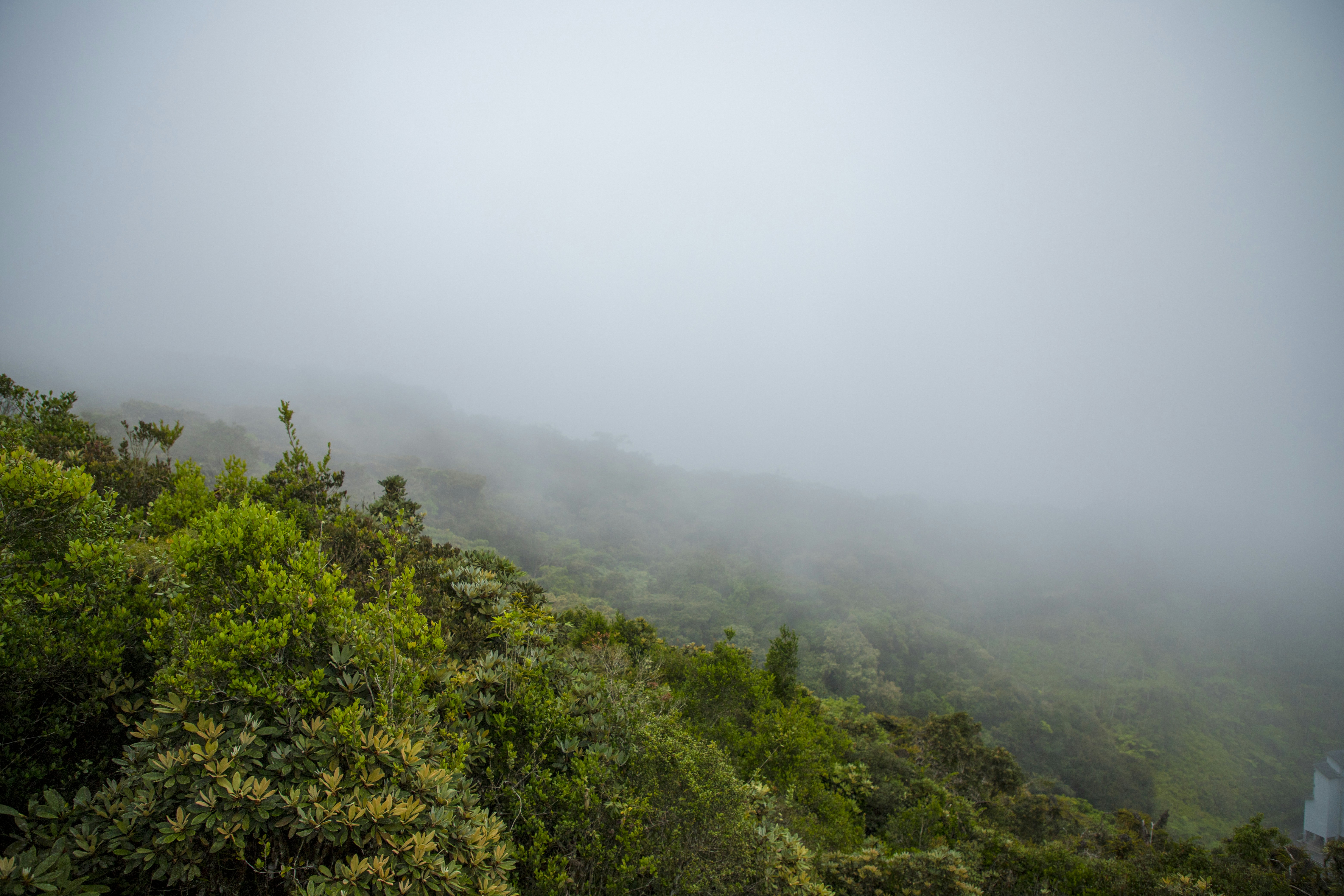 Photo by bahr_splash