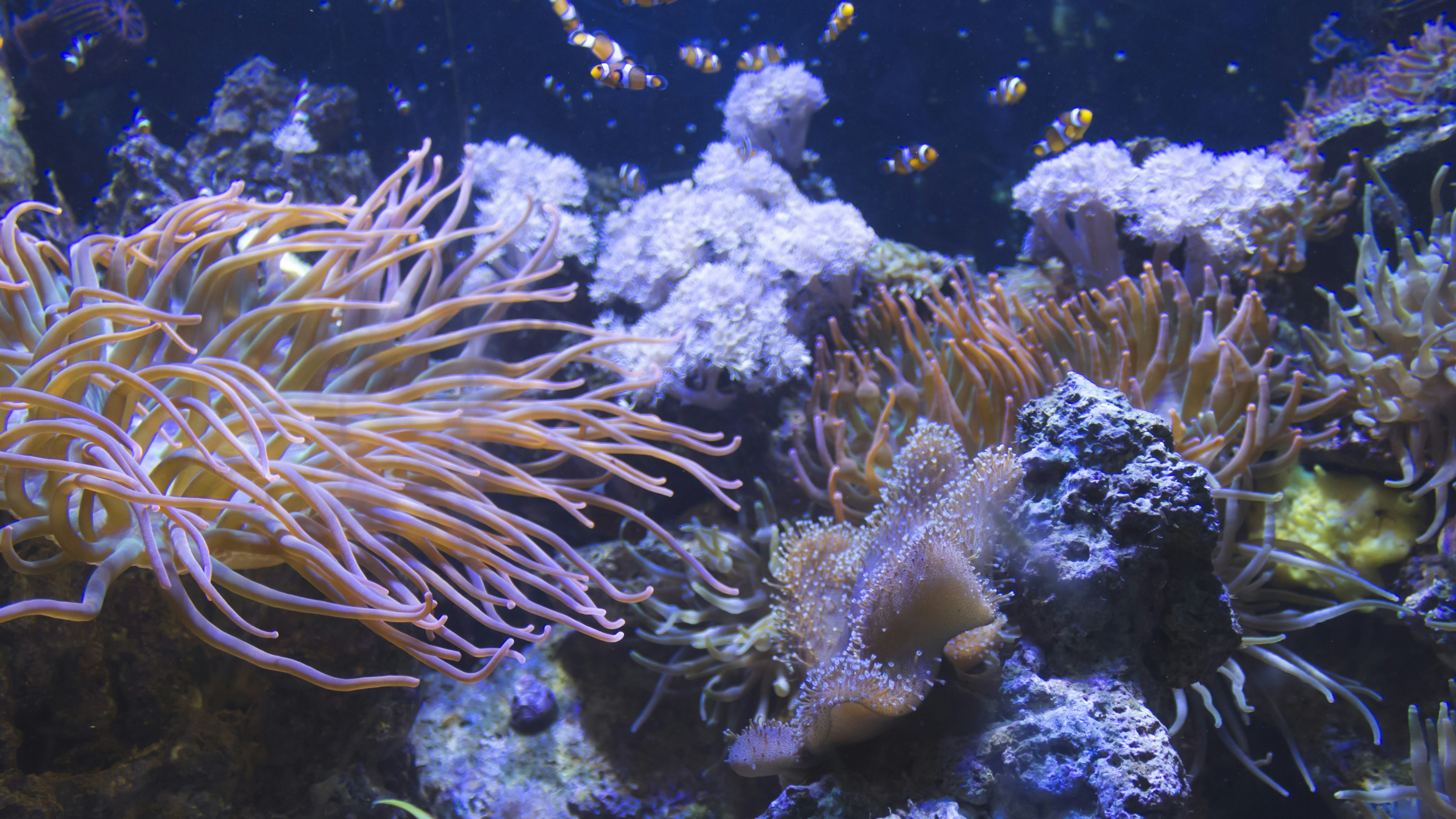 Photo by serenaclerio