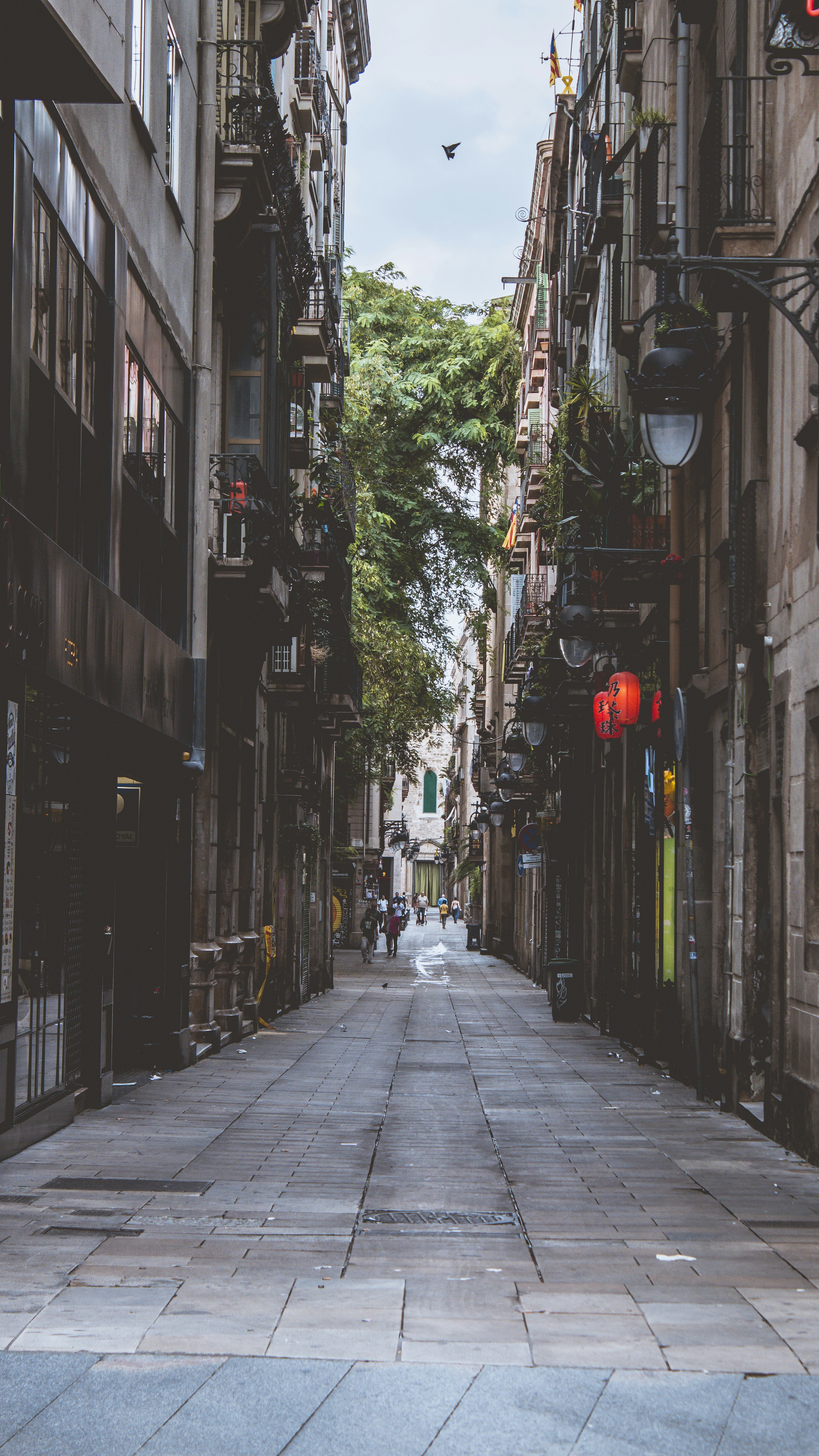 Photo by serenaclerio