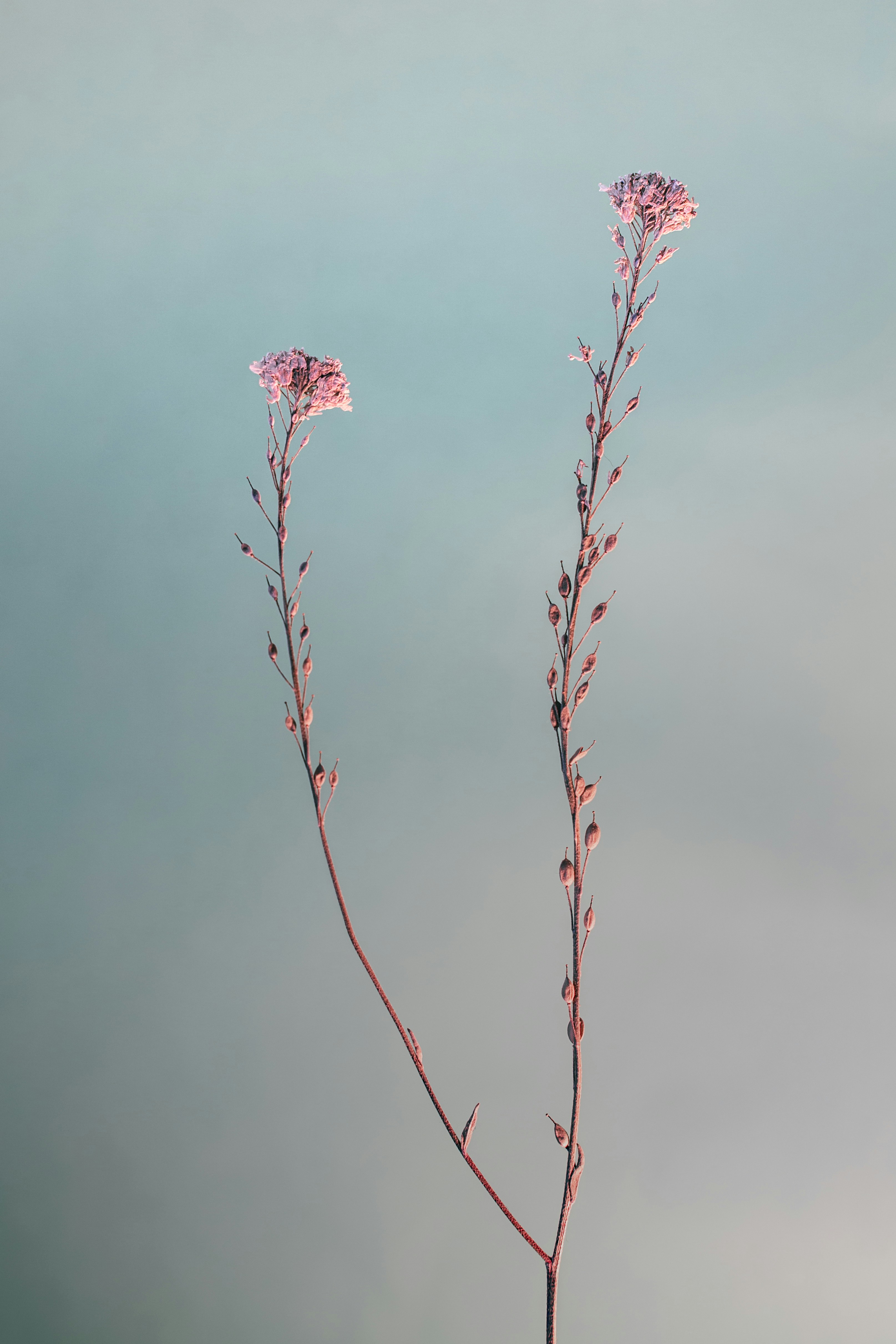 Photo by marekpiwnicki