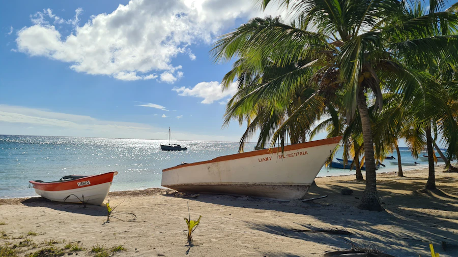 Small excursion boat anchored near a tropical shoreline on a snorkeling stop