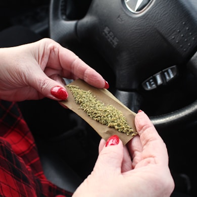 a woman holding a piece of marijuana in her hand