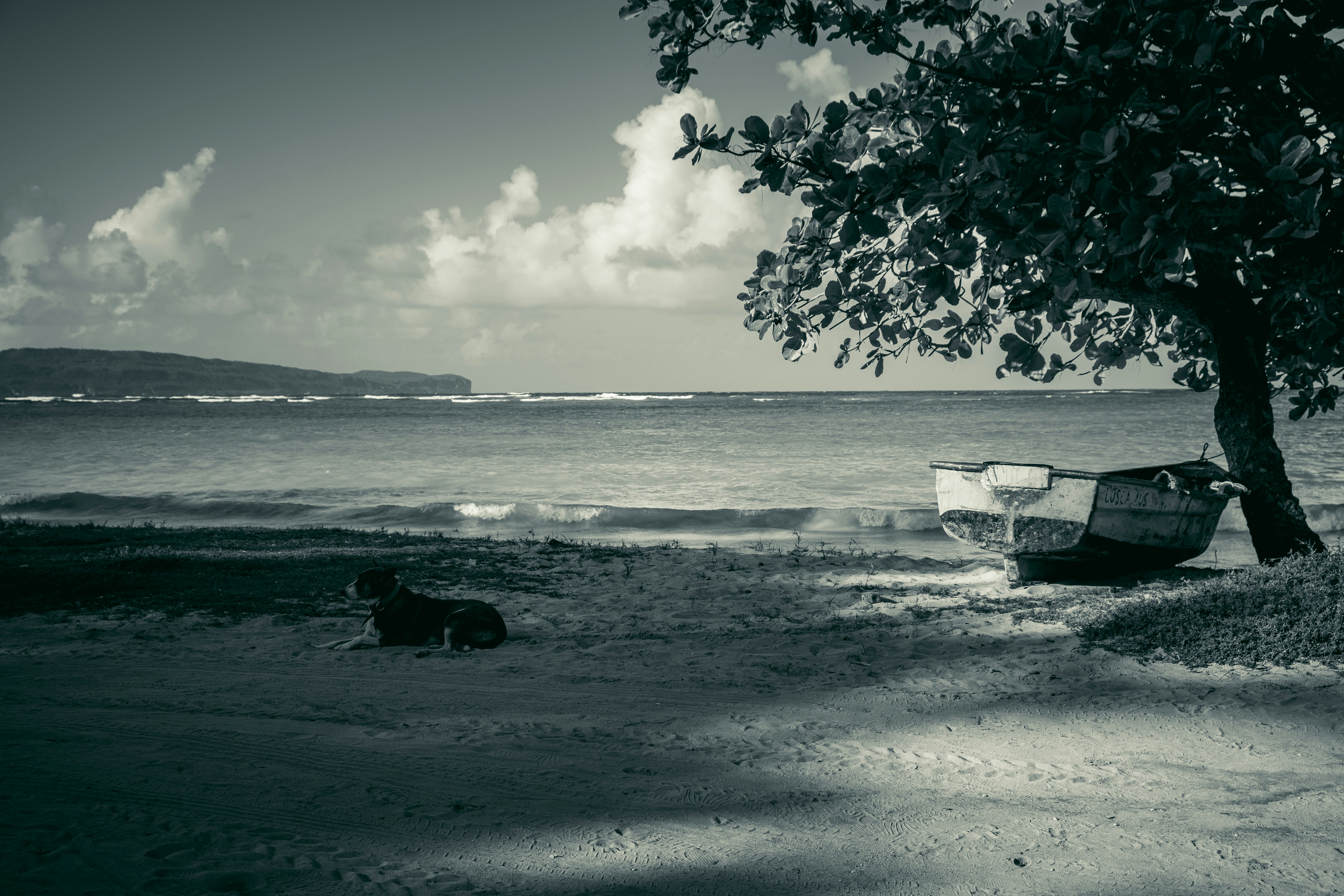 Photo by alessandro_gober