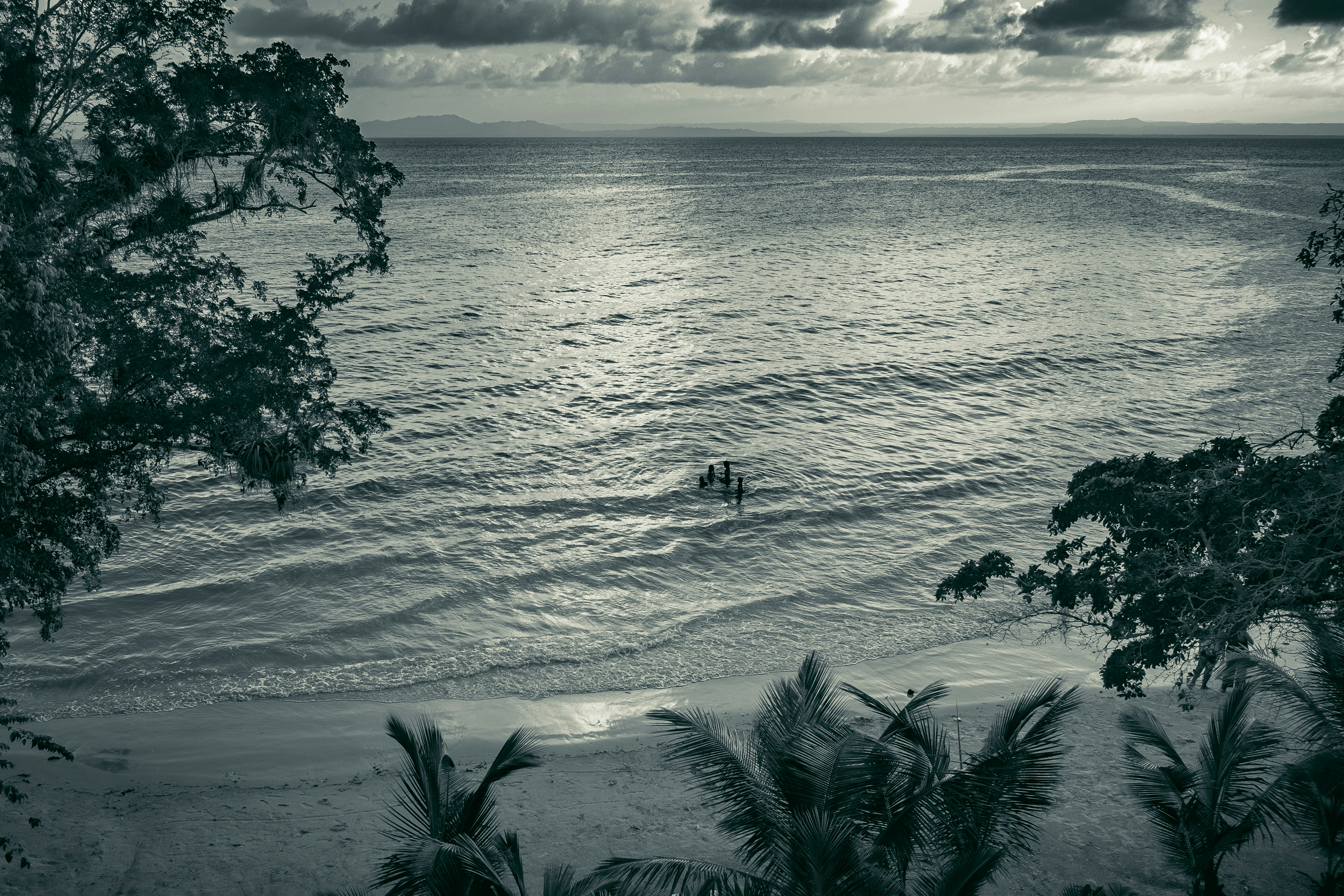 Photo by alessandro_gober