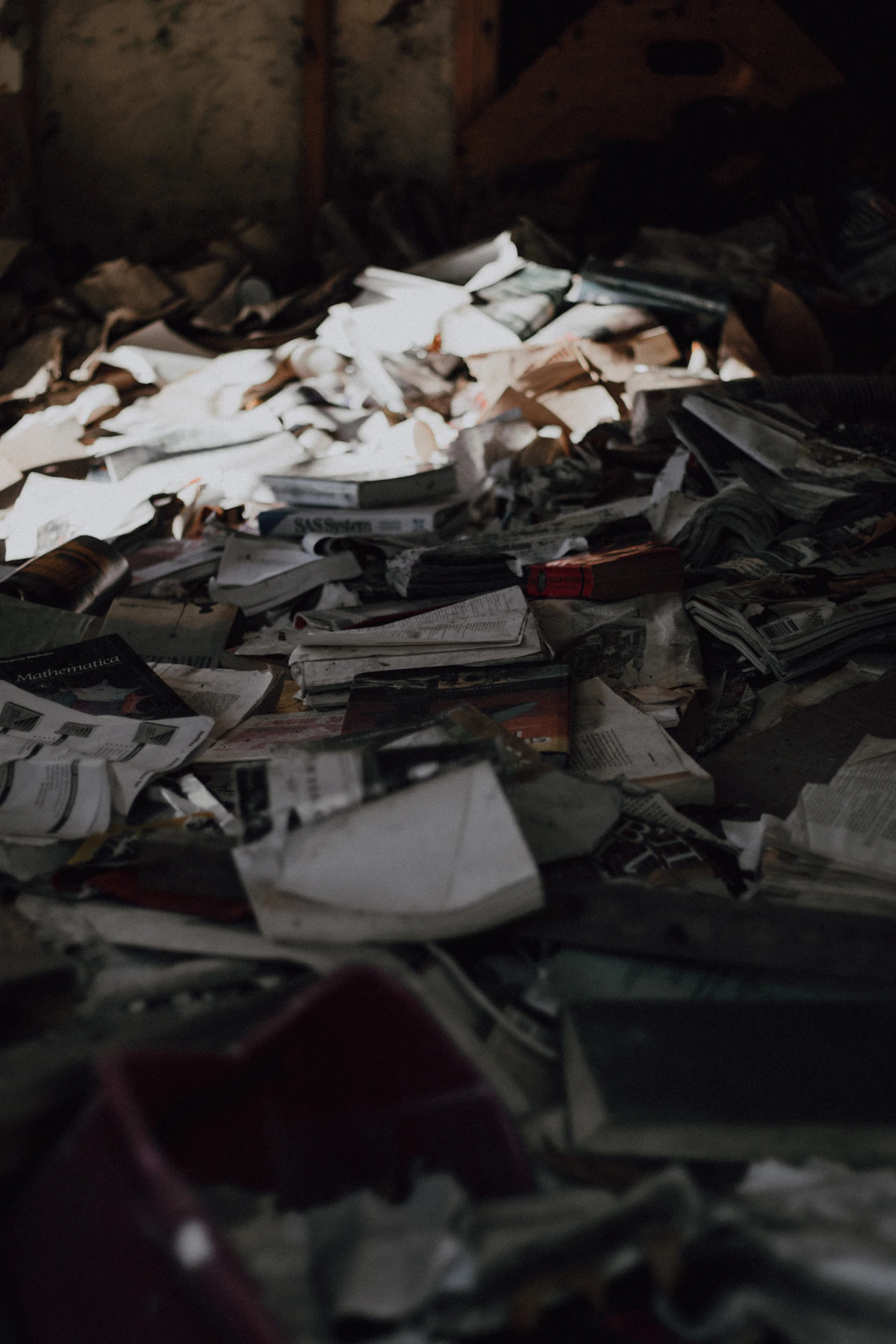 Real photograph of decaying books in an abandoned house, by Alex Patrick