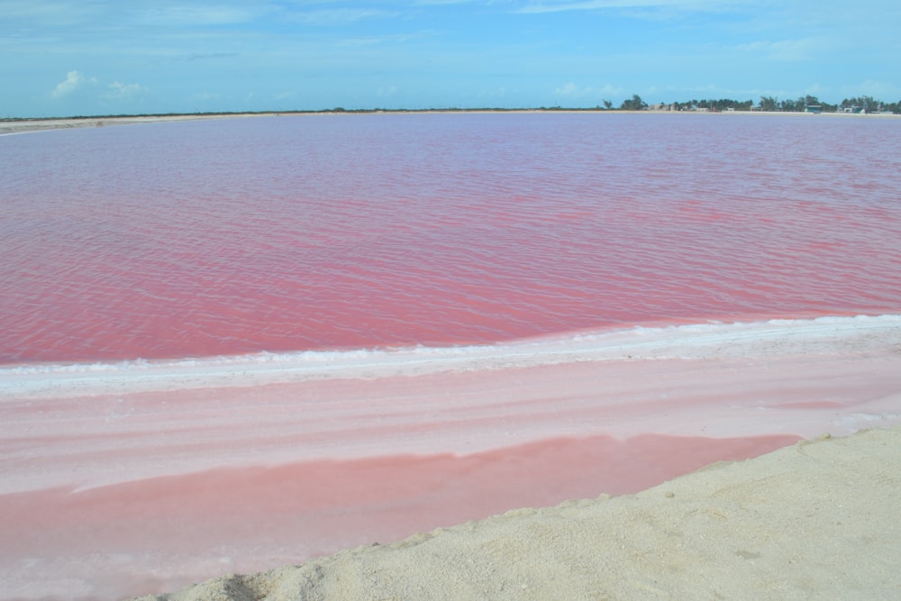 a large body of pink water with a sky background