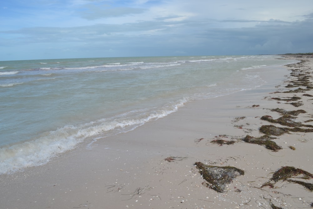 uma praia de areia com ondas que chegam à costa