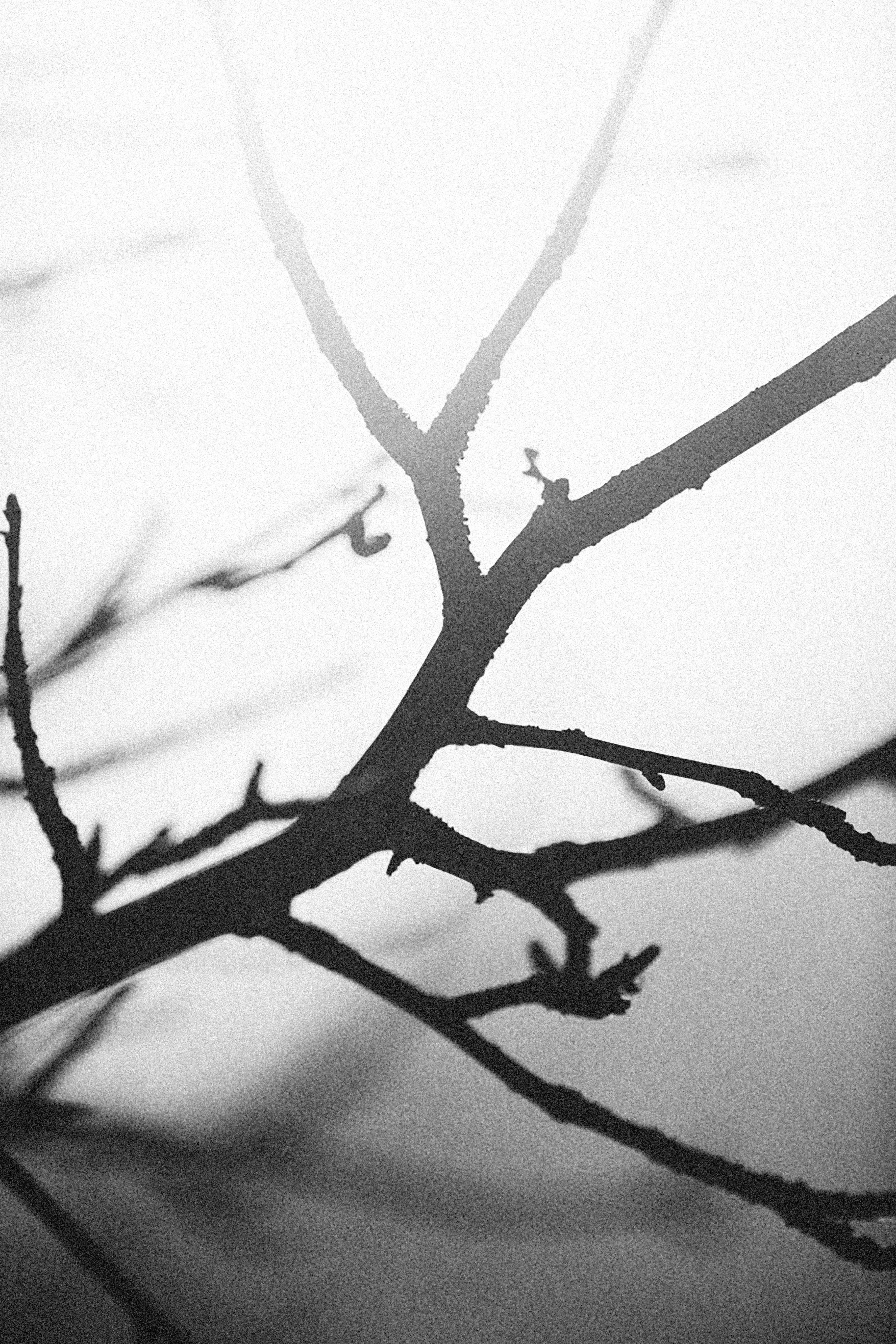 Photo by alexeydemidov