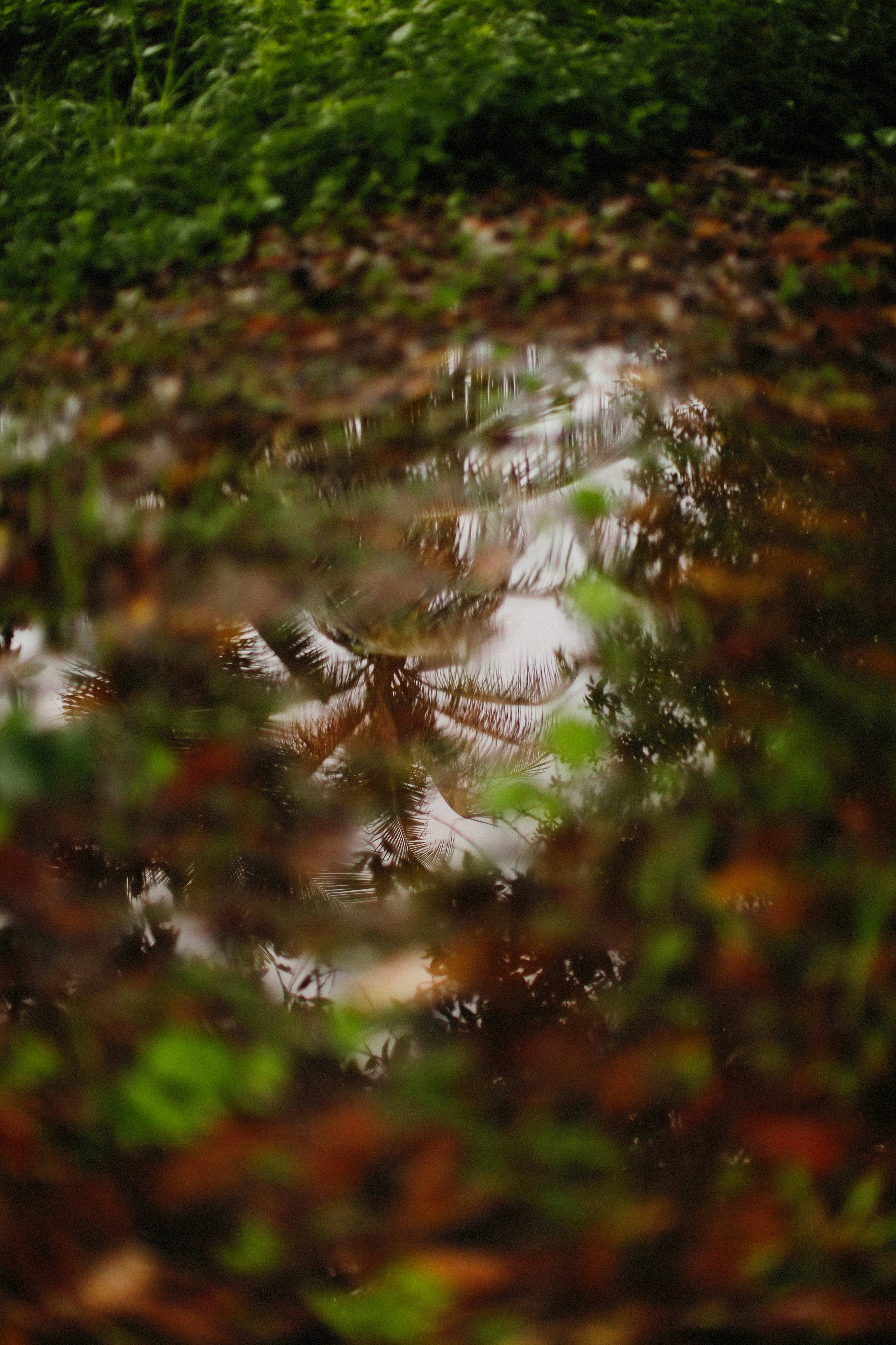 Photo by alexeydemidov