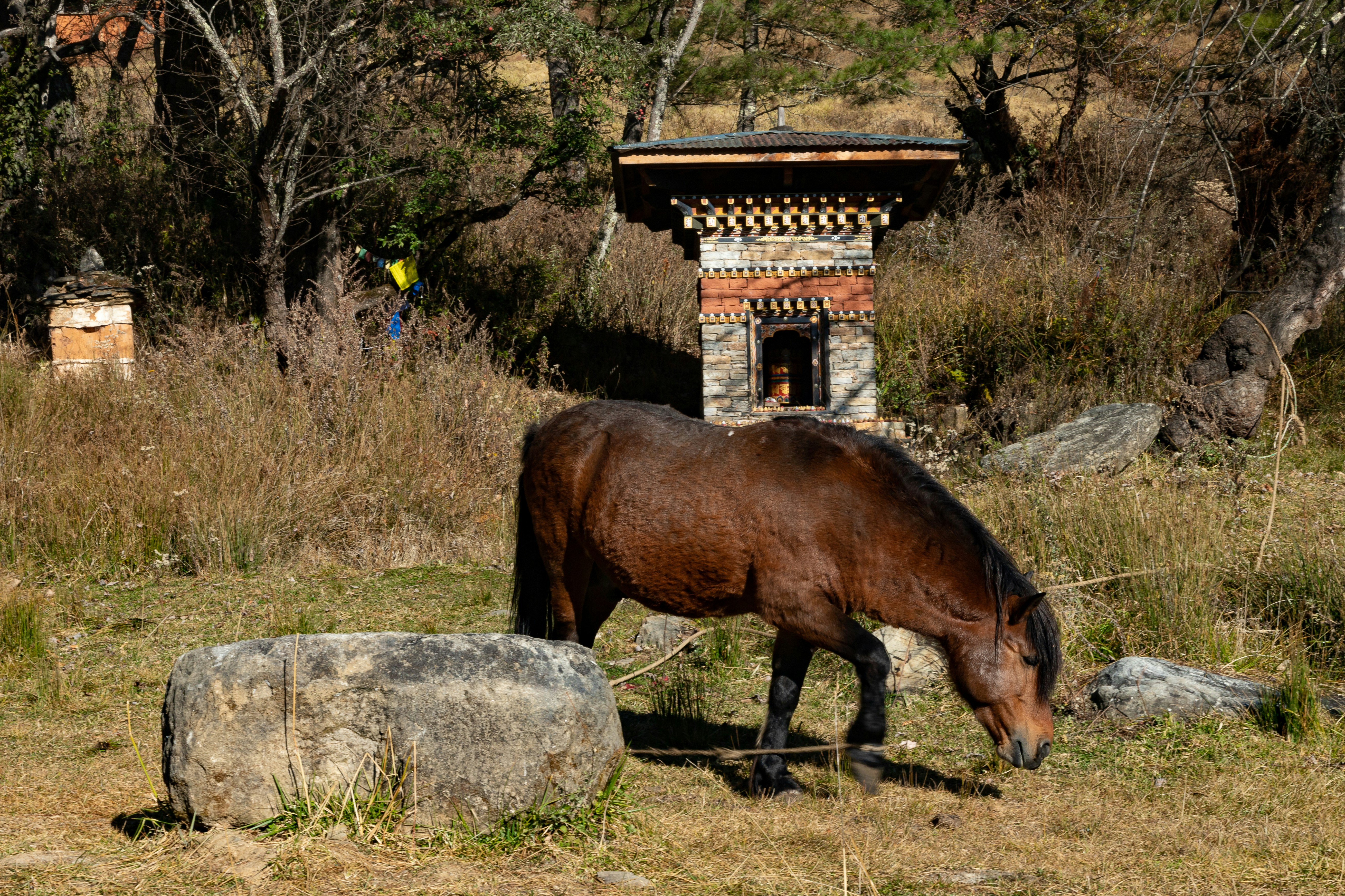 Thimphu Chorten