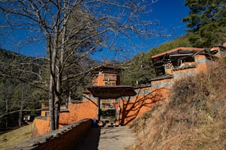 A traditional architectural structure made of stone and wood is set against a backdrop of a clear blue sky. The building is surrounded by trees, with one large, leafless tree prominently in the foreground. The walls are painted a warm orange, contrasting with the natural surroundings. There is a stone pathway leading towards the entrance of the building.