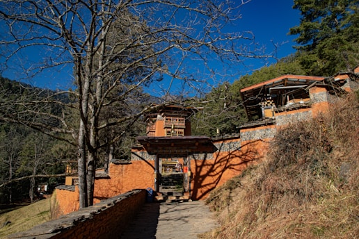 A traditional architectural structure made of stone and wood is set against a backdrop of a clear blue sky. The building is surrounded by trees, with one large, leafless tree prominently in the foreground. The walls are painted a warm orange, contrasting with the natural surroundings. There is a stone pathway leading towards the entrance of the building.