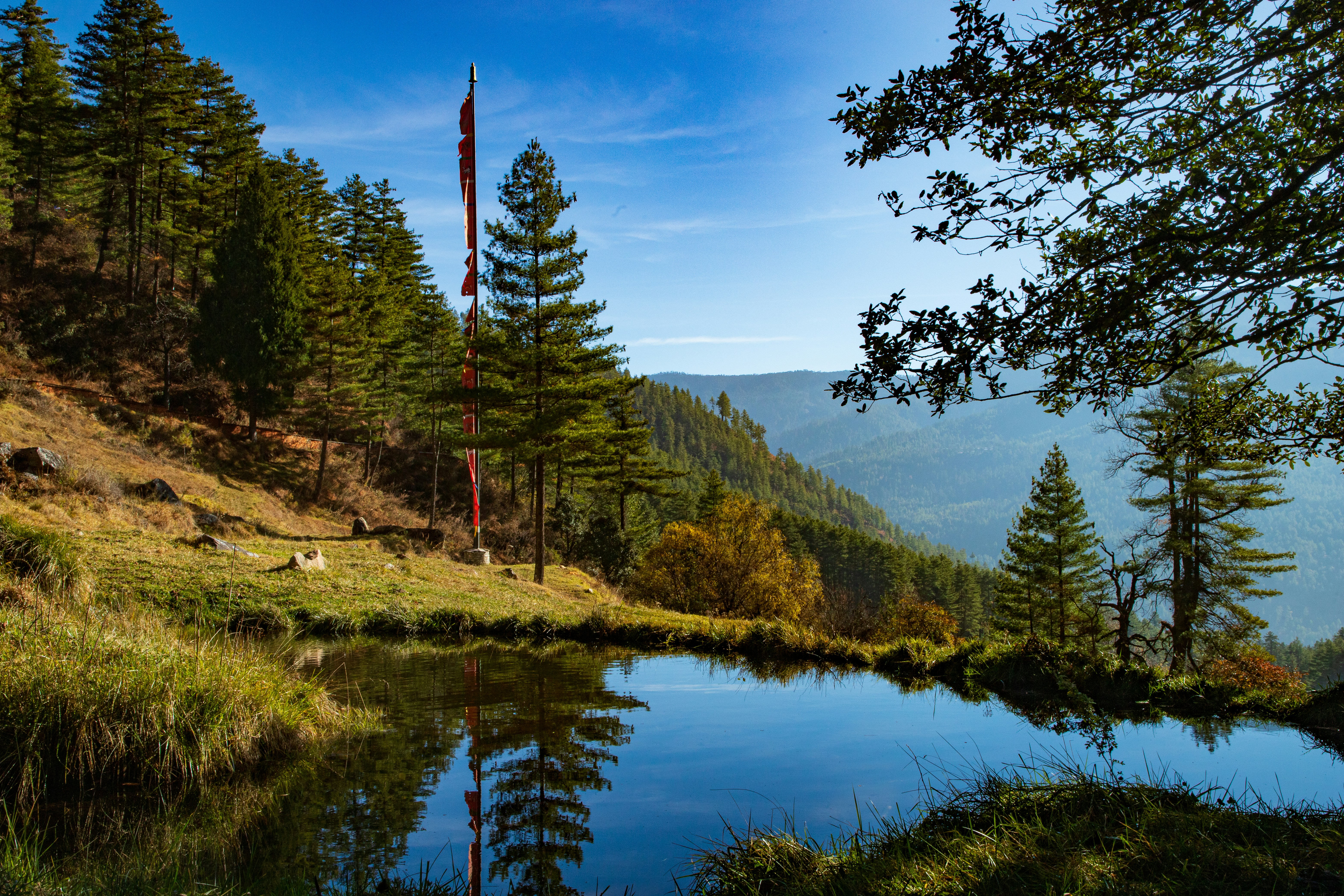 Changangkha Lhakhang photo 3