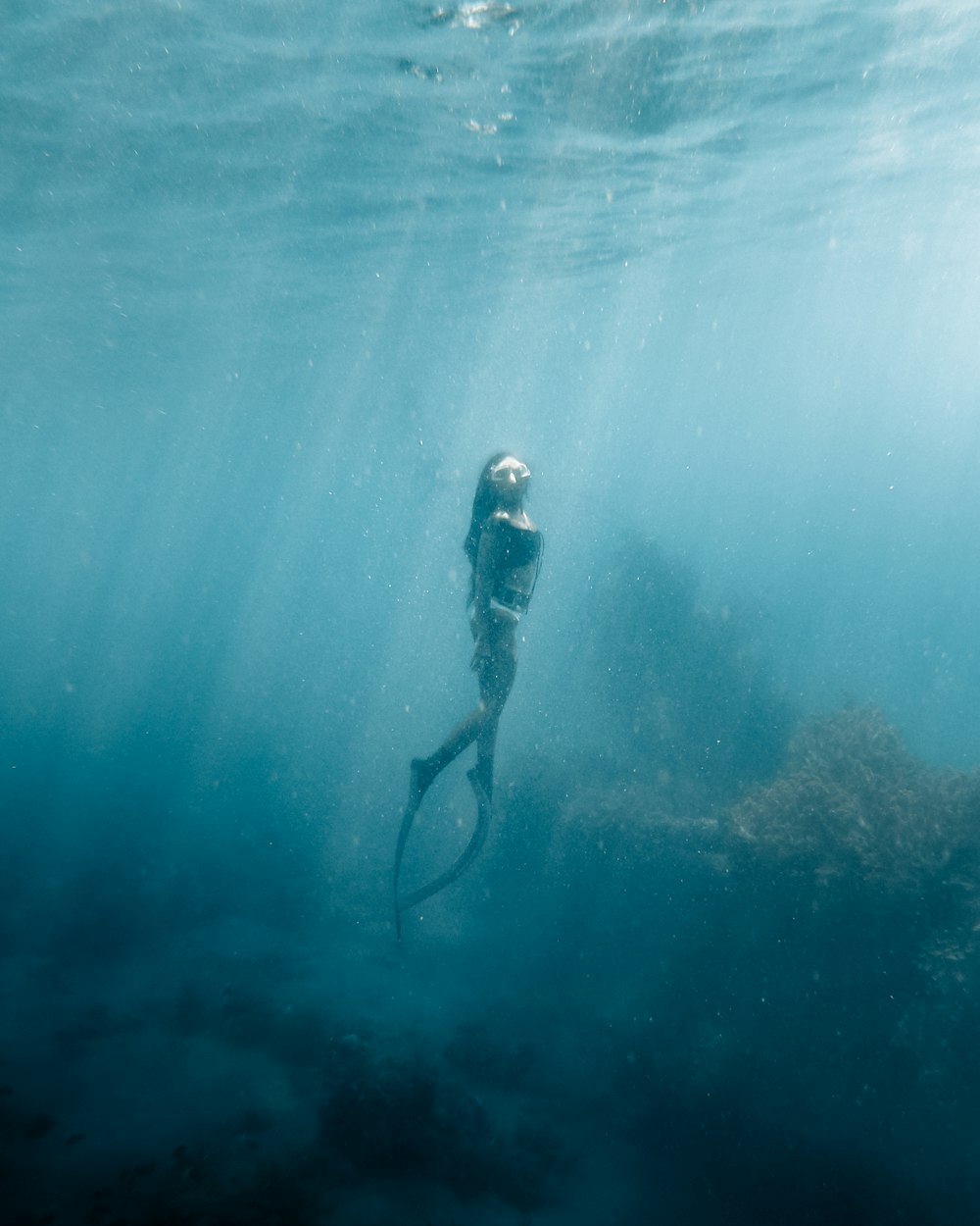 une personne nageant dans l’eau avec un poisson