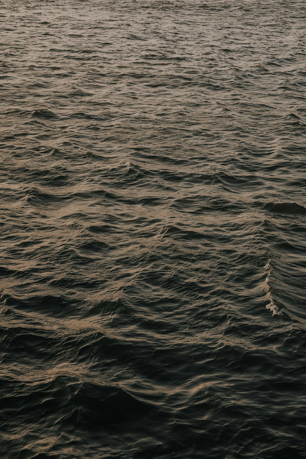 a large body of water with a boat in the distance